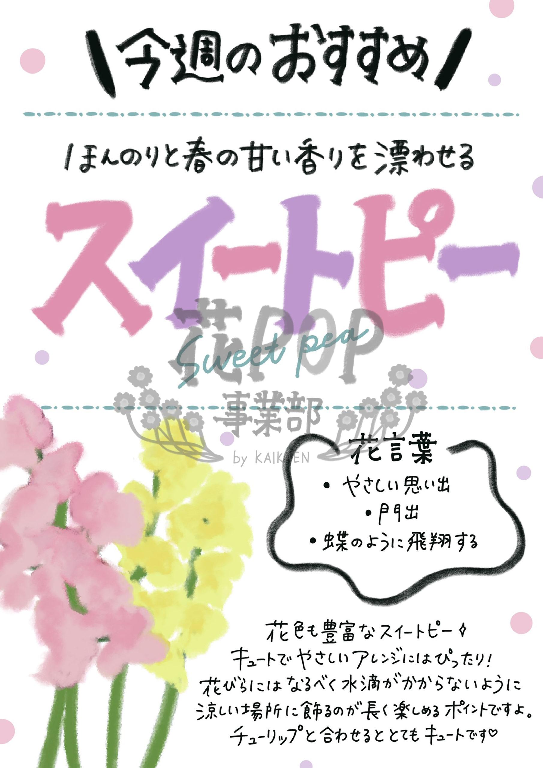 スイートピー 花pop事業部