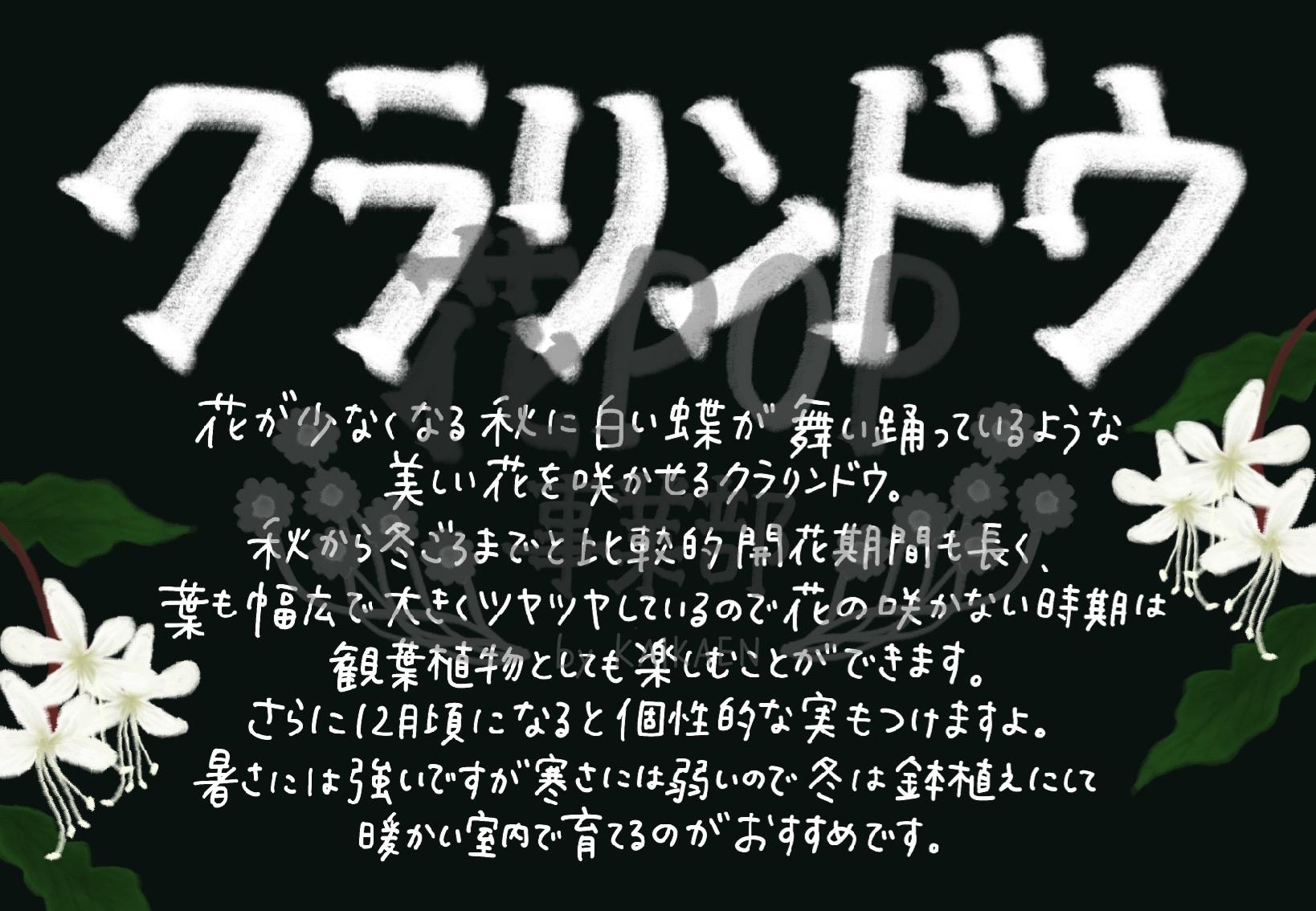 クラリンドウ 花pop事業部 クラリンドウ 花pop事業部