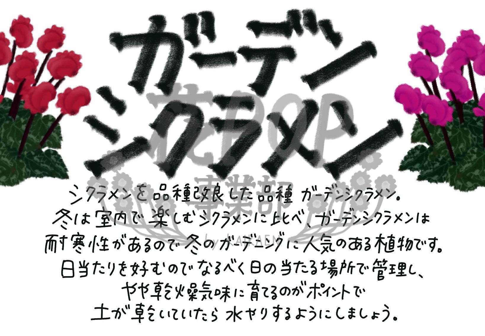 花pop事業部 花pop事業部
