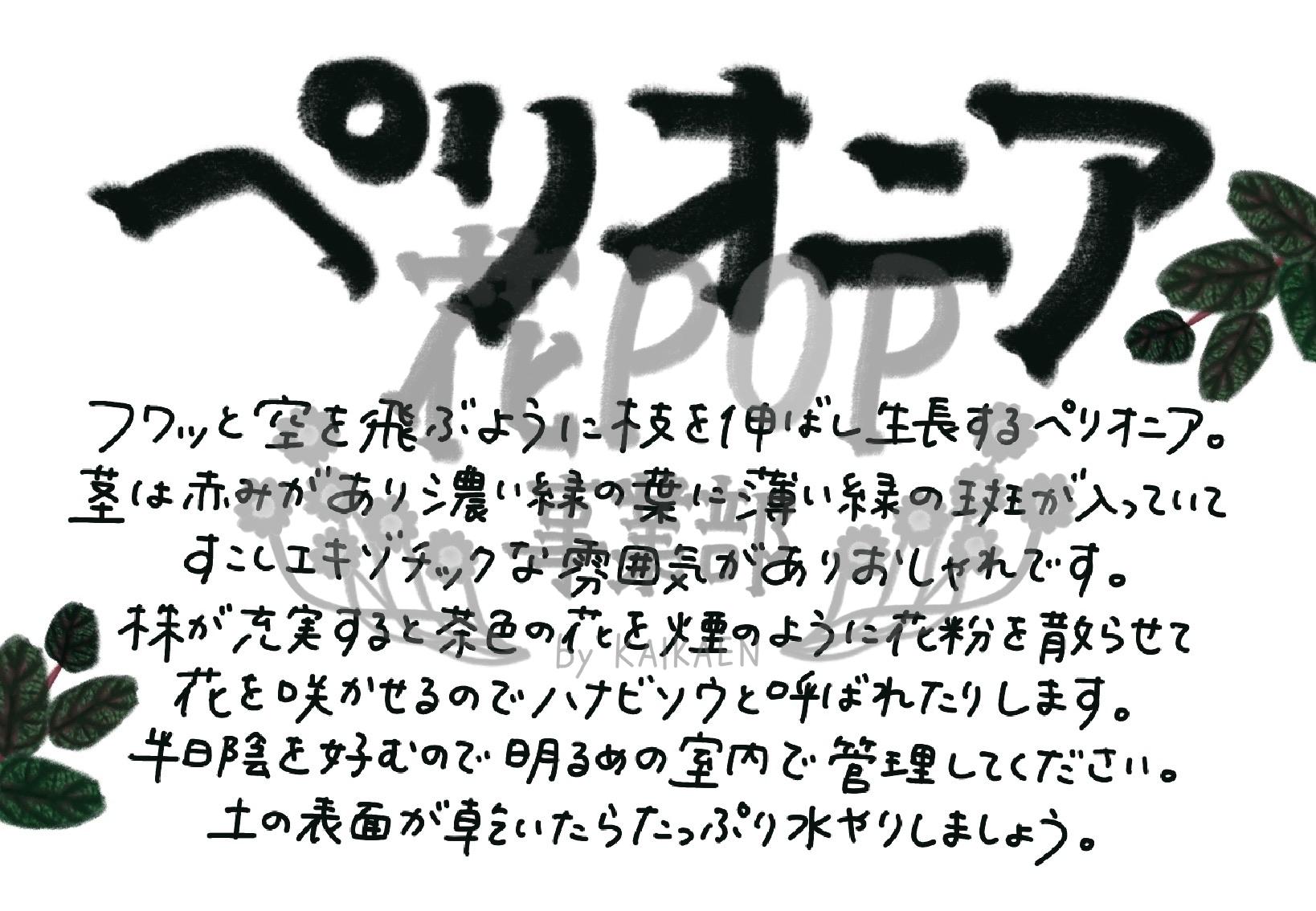 ペリオニア