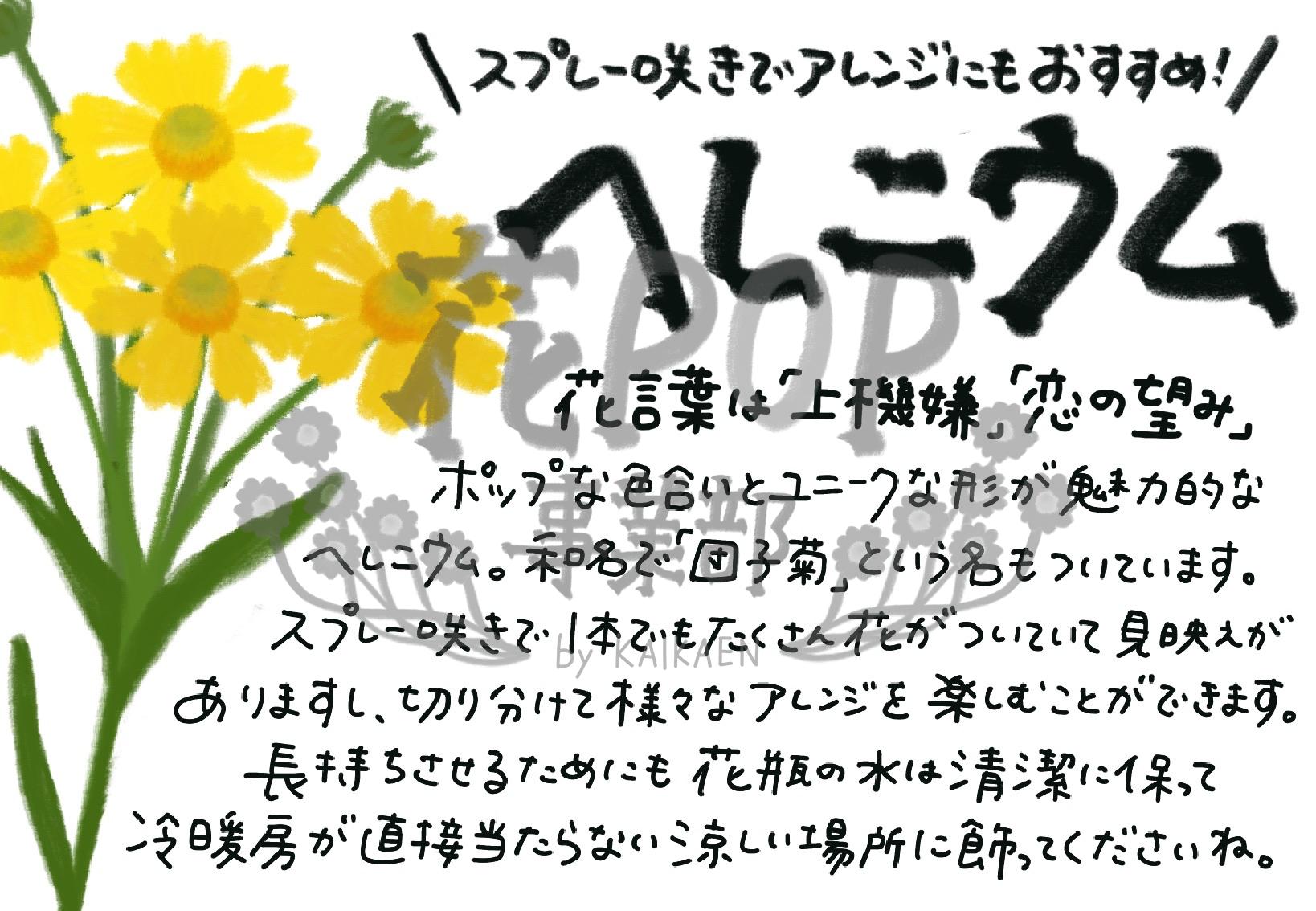 ヘレニウム