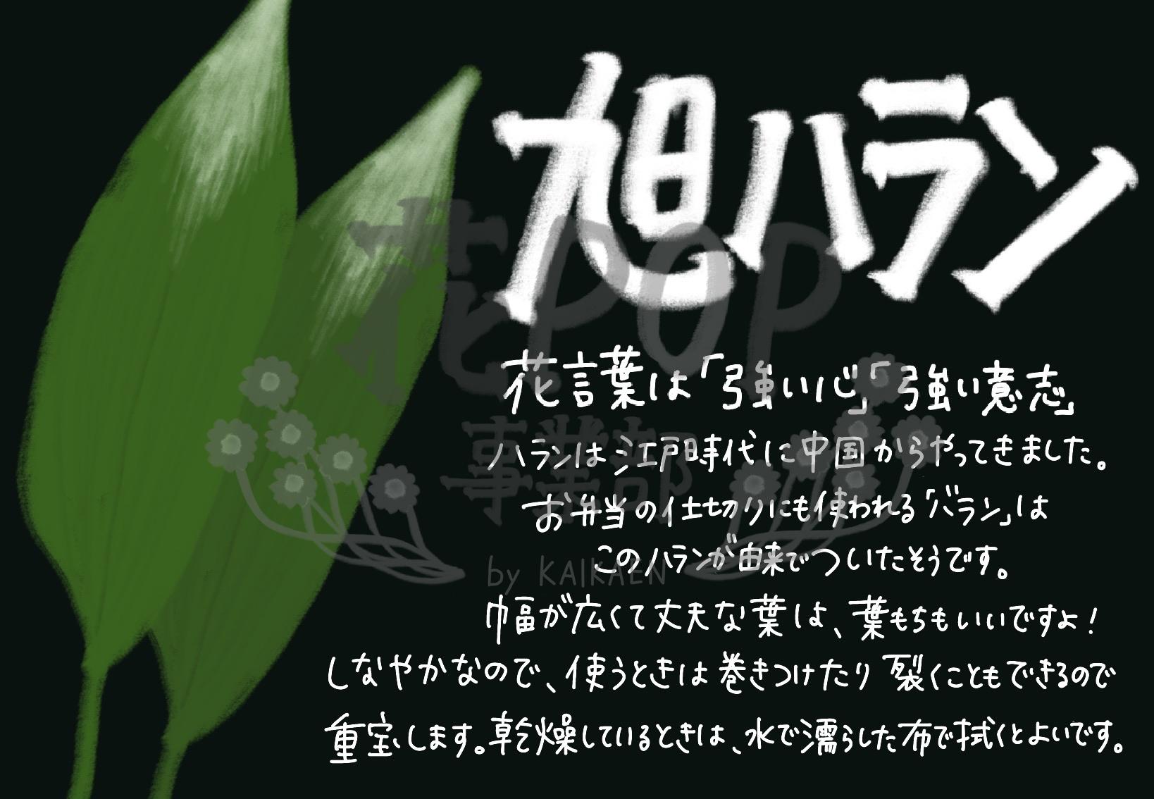 旭ハラン 花pop事業部 旭ハラン 花pop事業部