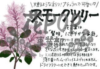 スモークツリー