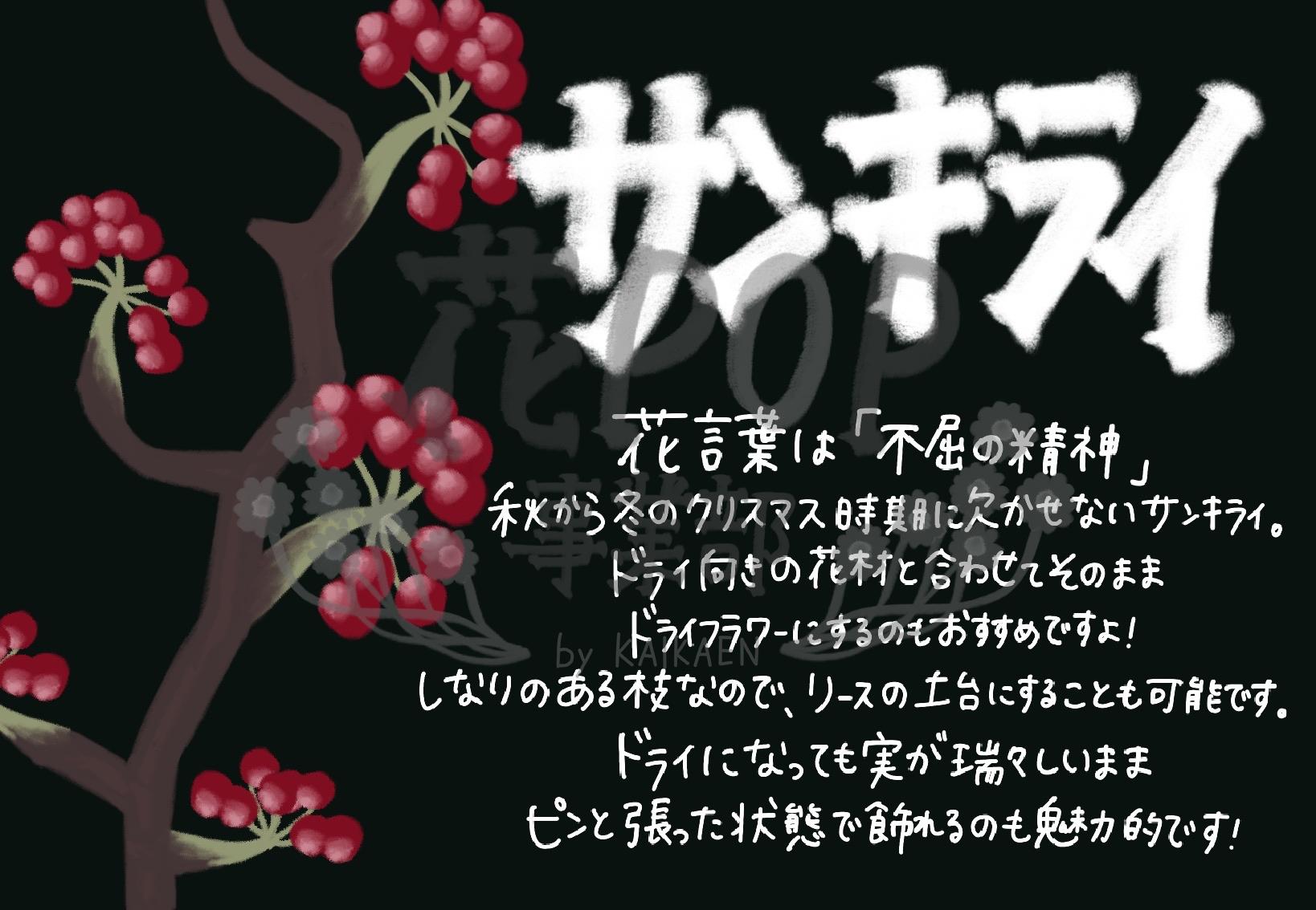 サンキライ 花pop事業部 サンキライ 花pop事業部
