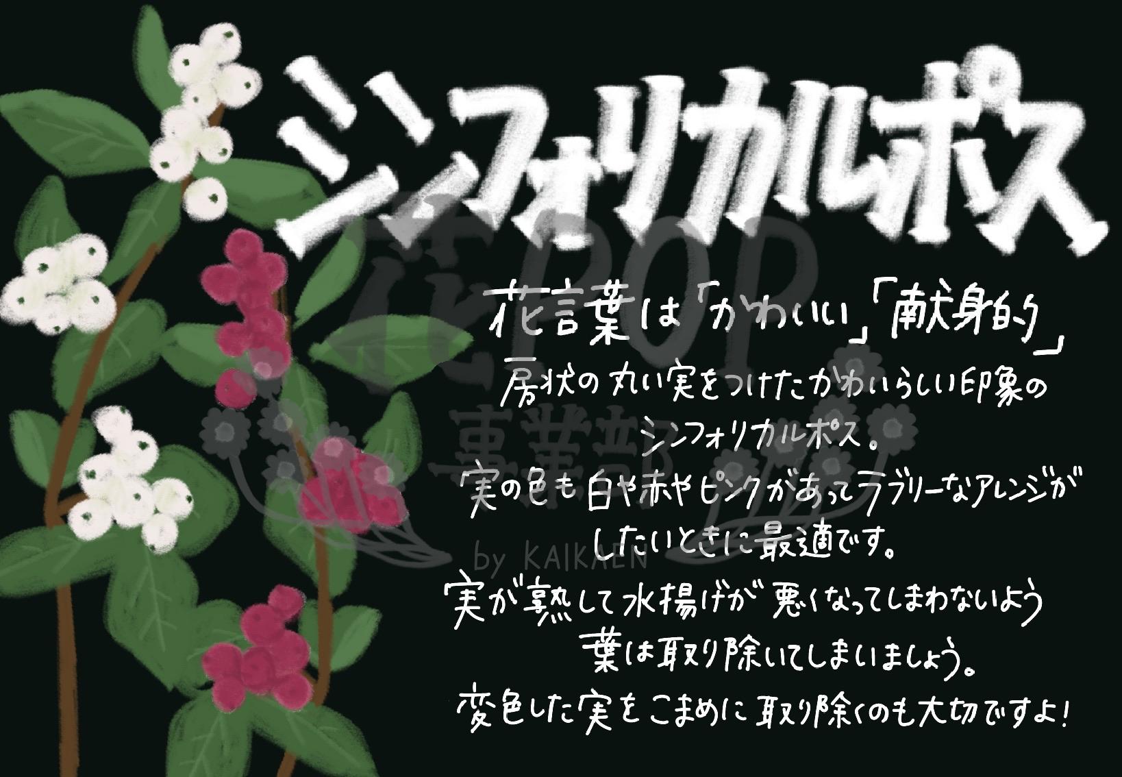 シンフォリカルポス 花pop事業部 シンフォリカルポス 花pop事業部
