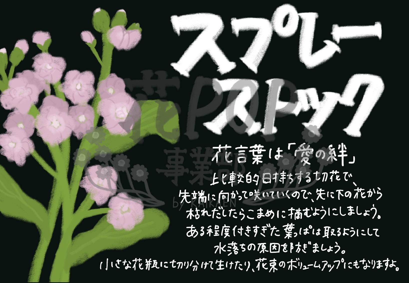スプレーストック 花pop事業部 スプレーストック 花pop事業部