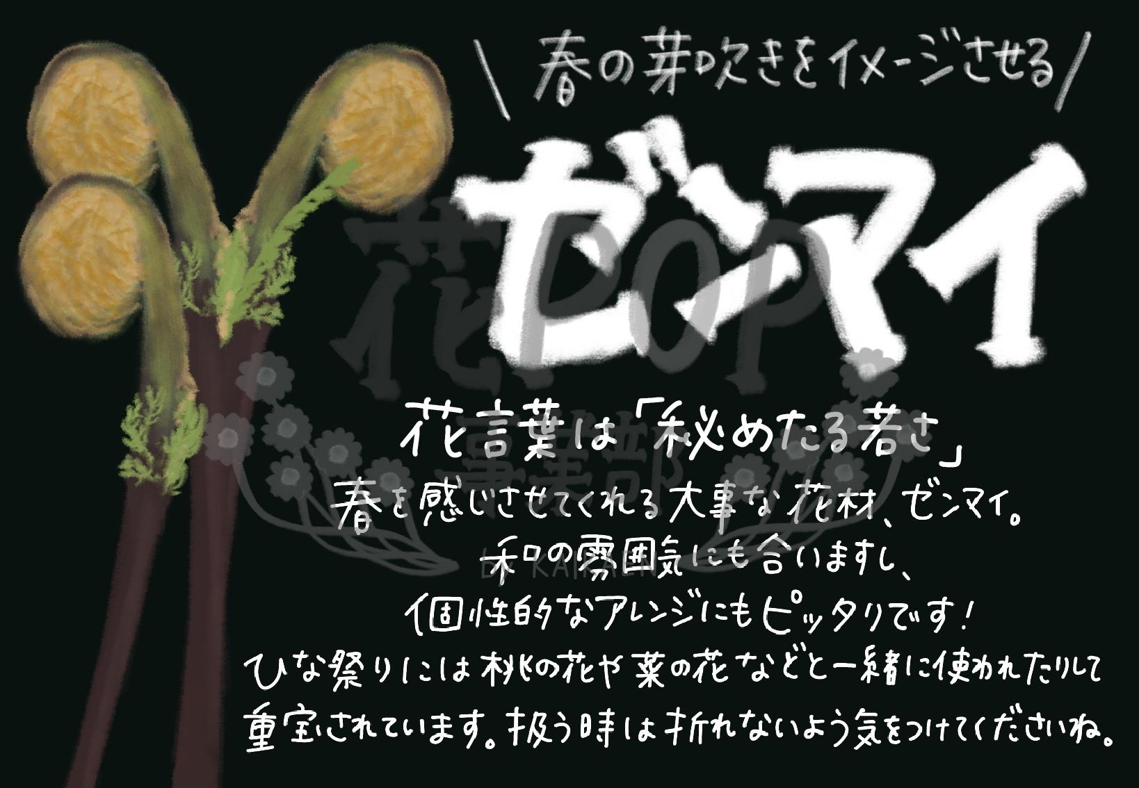 ゼンマイ 花pop事業部 ゼンマイ 花pop事業部