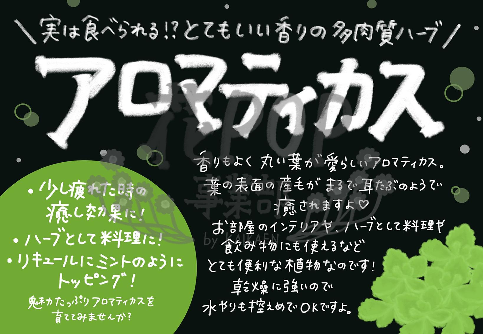 アロマティカス 花pop事業部 アロマティカス 花pop事業部
