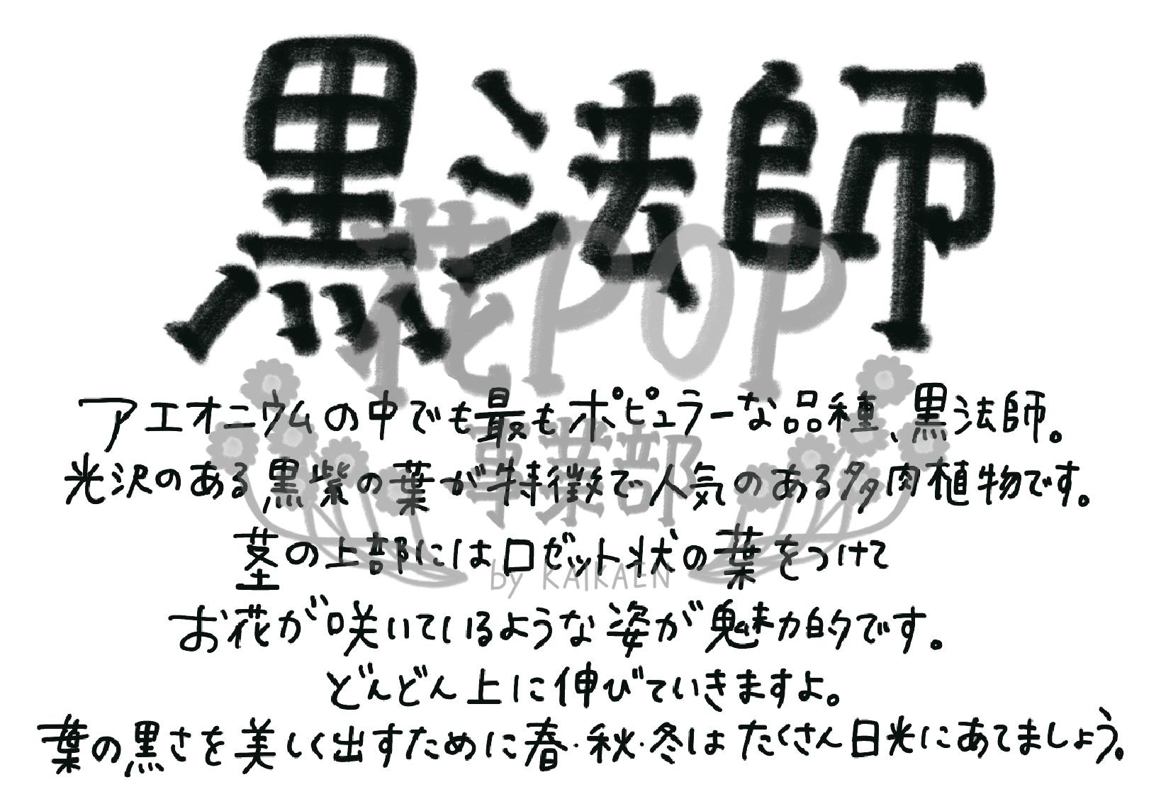 花pop事業部