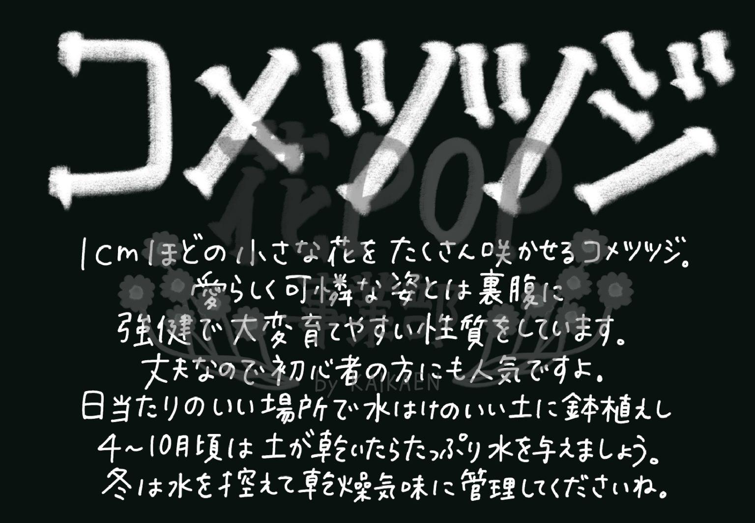コメツツジ | 花POP事業部