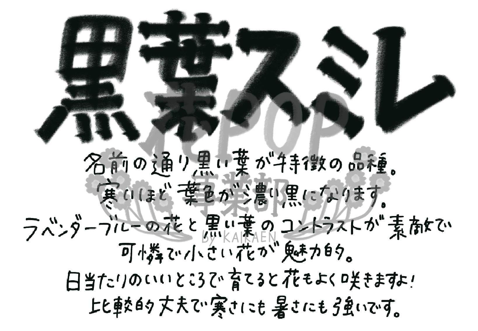 花pop事業部