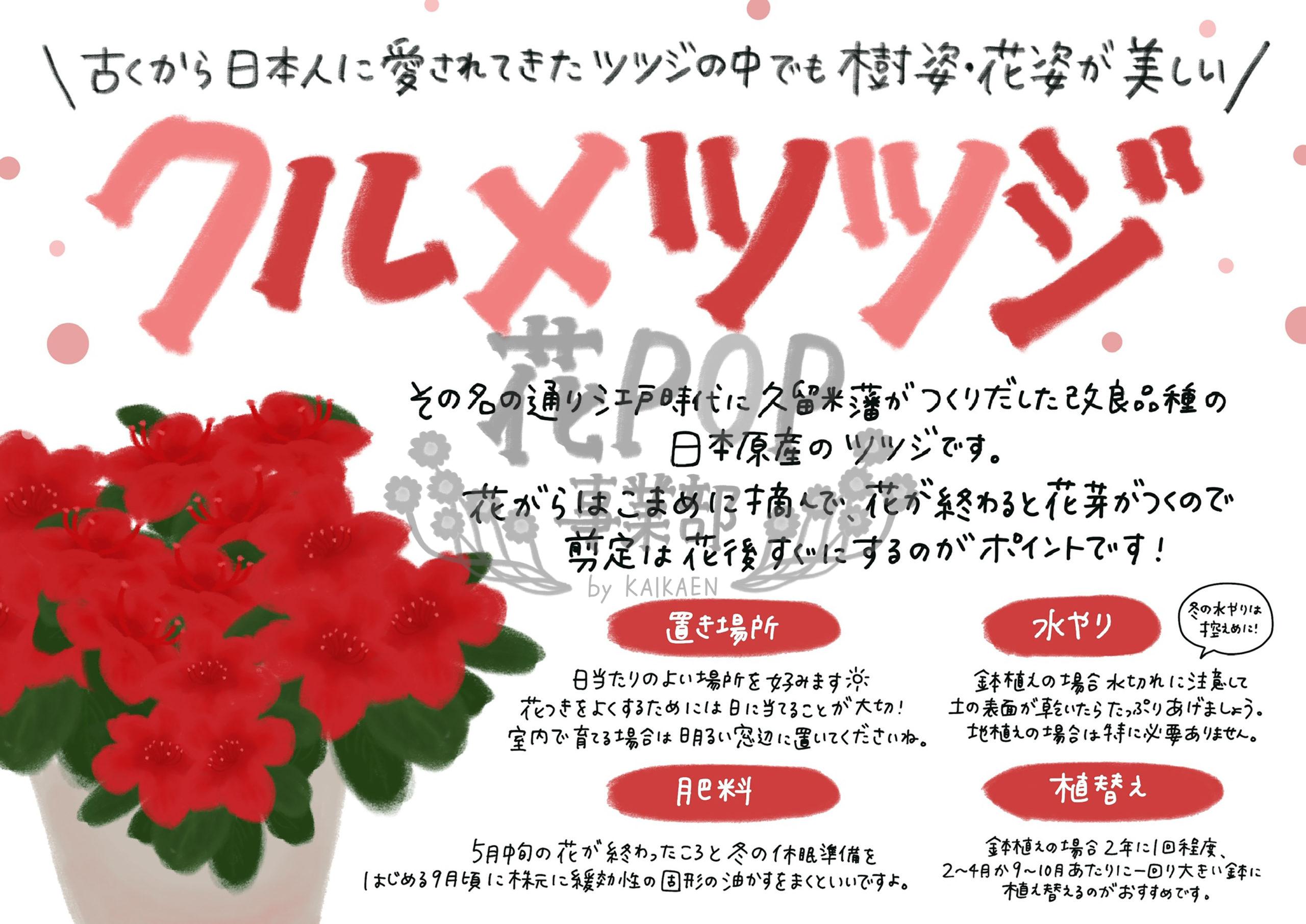 花pop事業部 花pop事業部