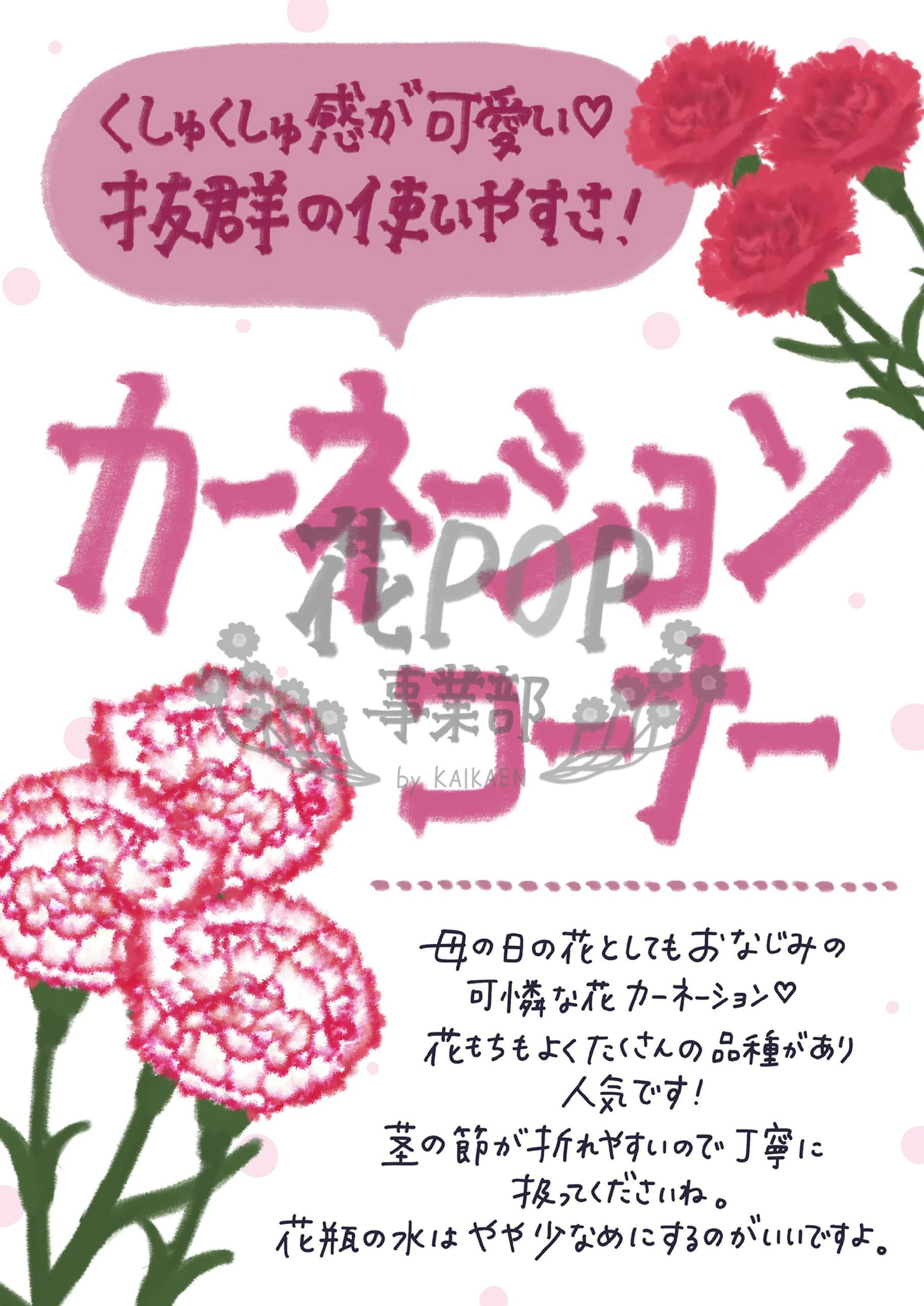 カーネーションコーナー 花pop事業部 カーネーションコーナー 花pop事業部