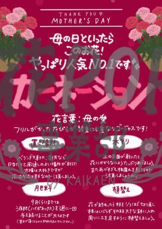 母の日 商品カテゴリー 花pop事業部 母の日 商品カテゴリー 花pop事業部