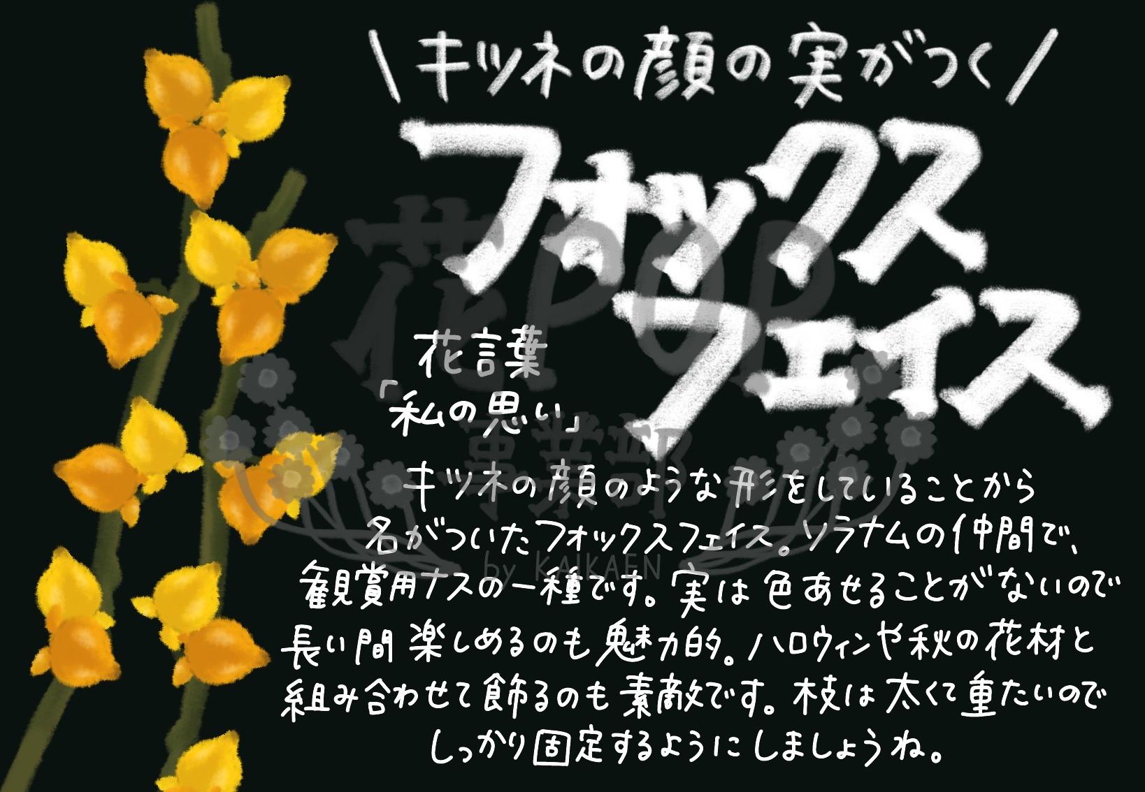 フォックスフェイス 花pop事業部
