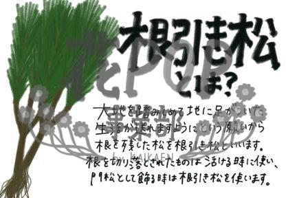 根引き松とは 花pop事業部 根引き松とは 花pop事業部