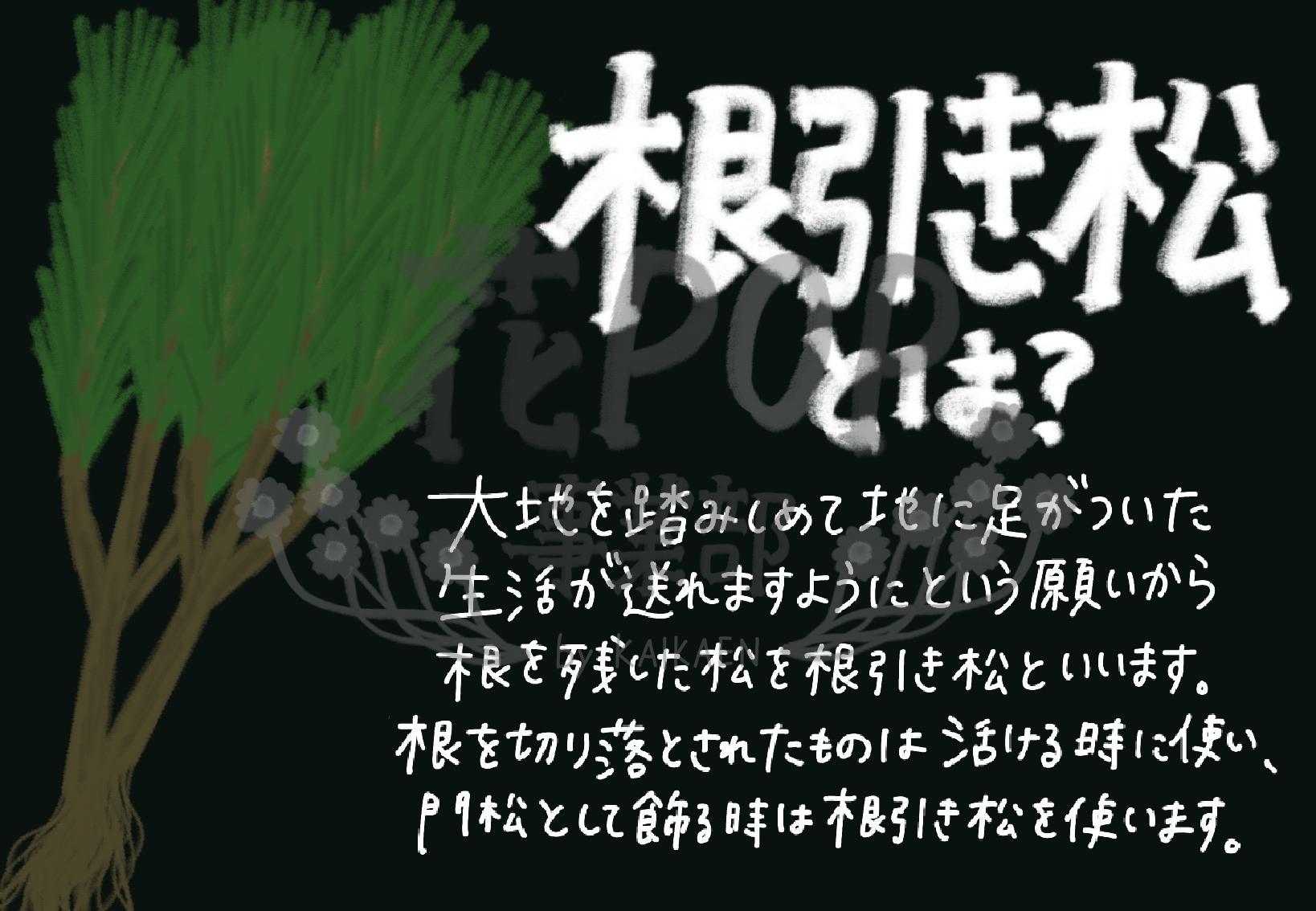 根引き松とは 花pop事業部 根引き松とは 花pop事業部