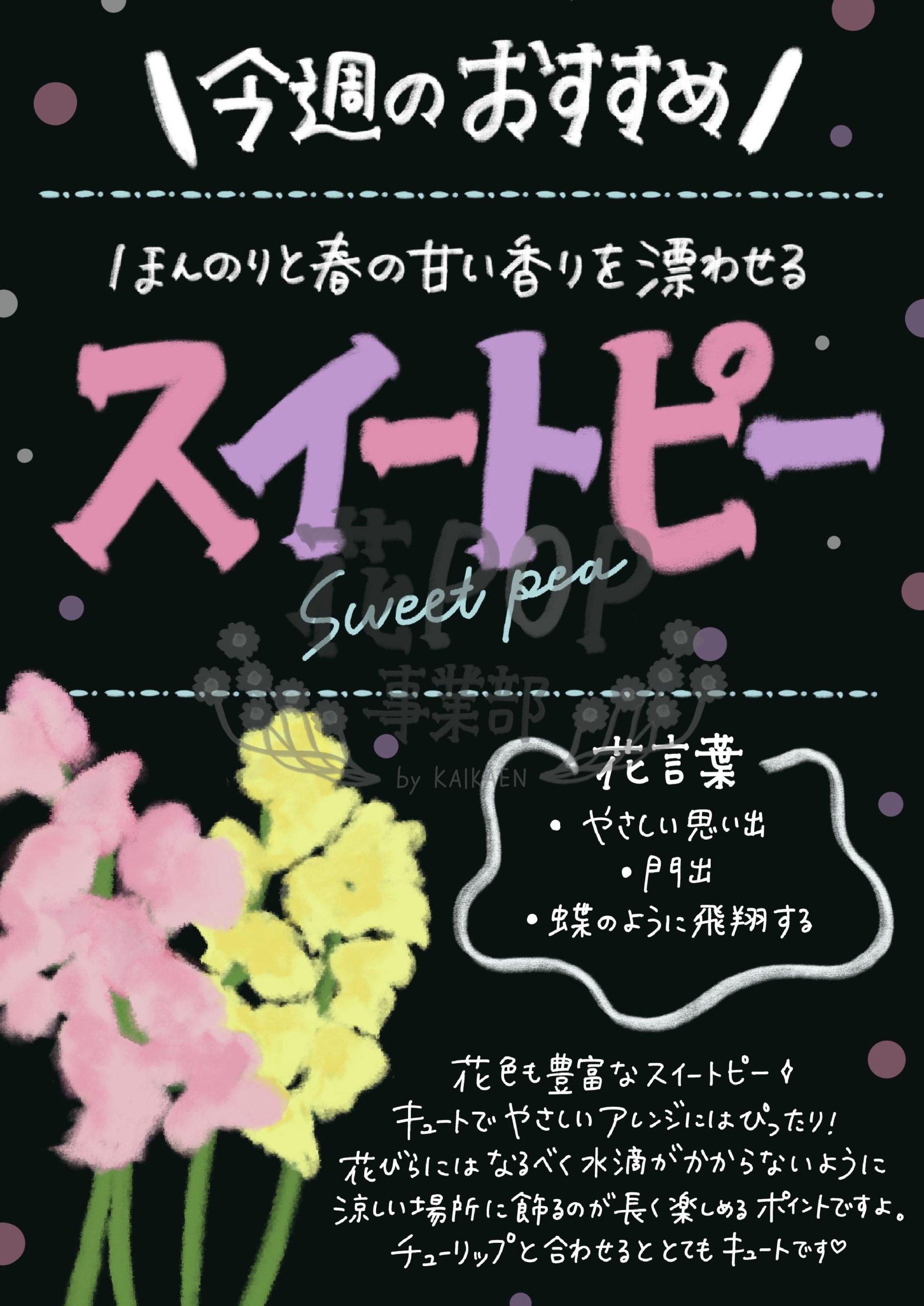 スイートピー 花pop事業部 スイートピー 花pop事業部