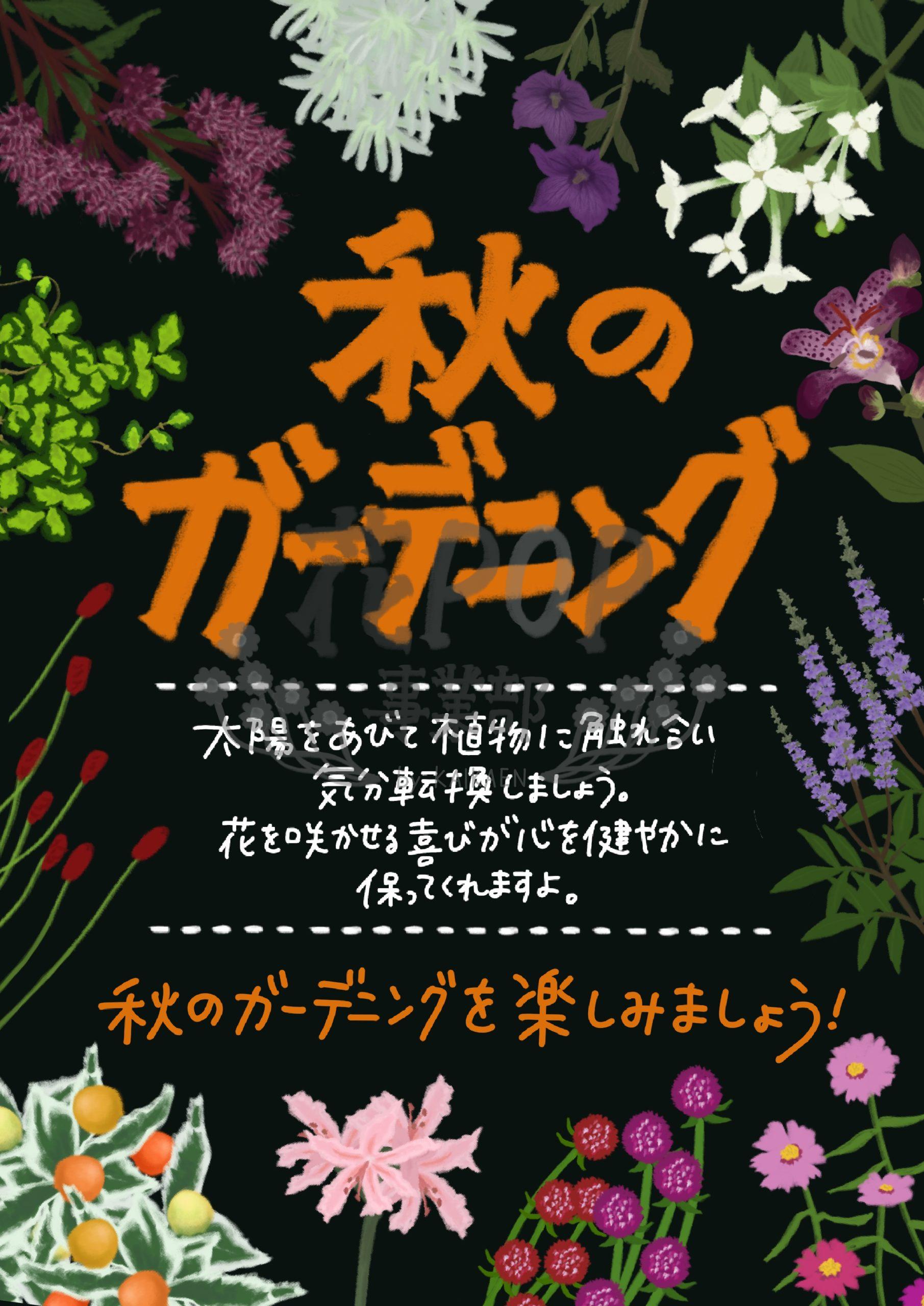秋のガーデニング 花pop事業部 秋のガーデニング 花pop事業部