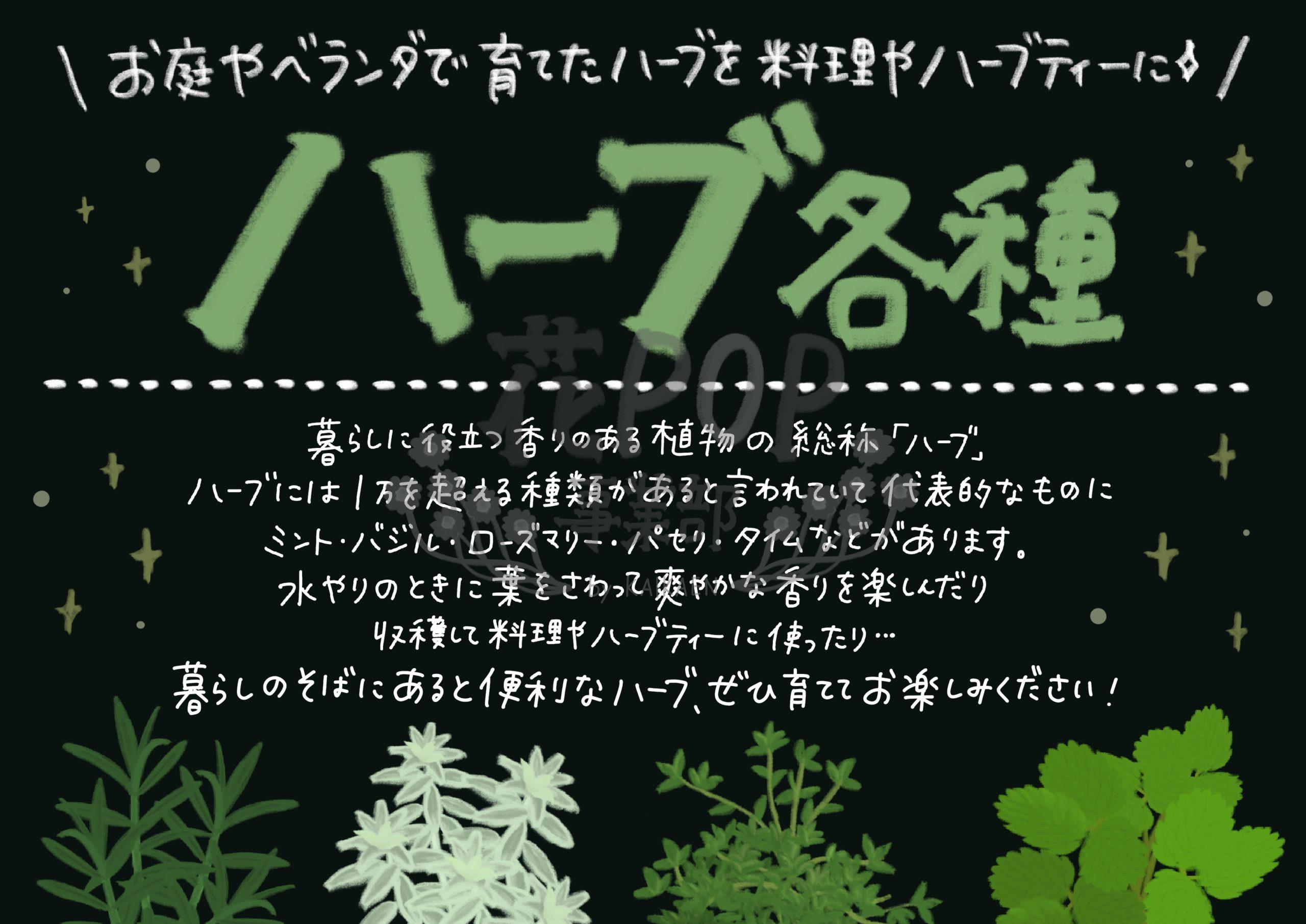 ハーブ各種 花pop事業部 ハーブ各種 花pop事業部