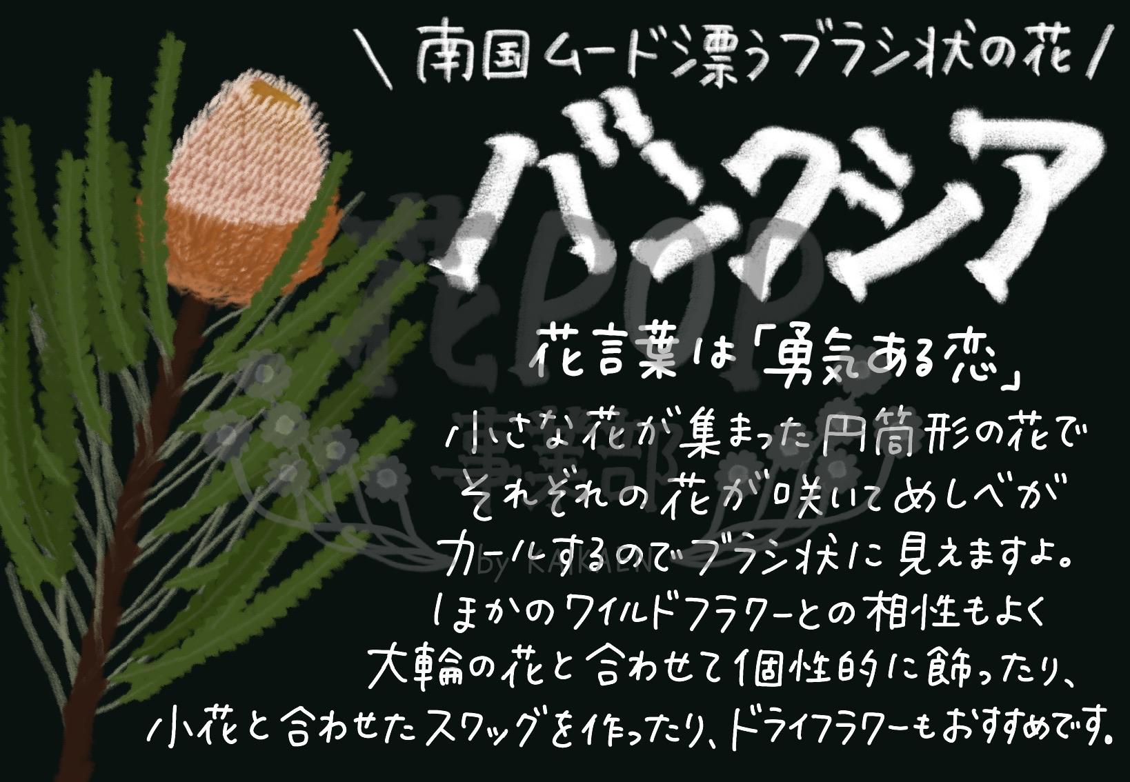バンクシア 花pop事業部 バンクシア 花pop事業部