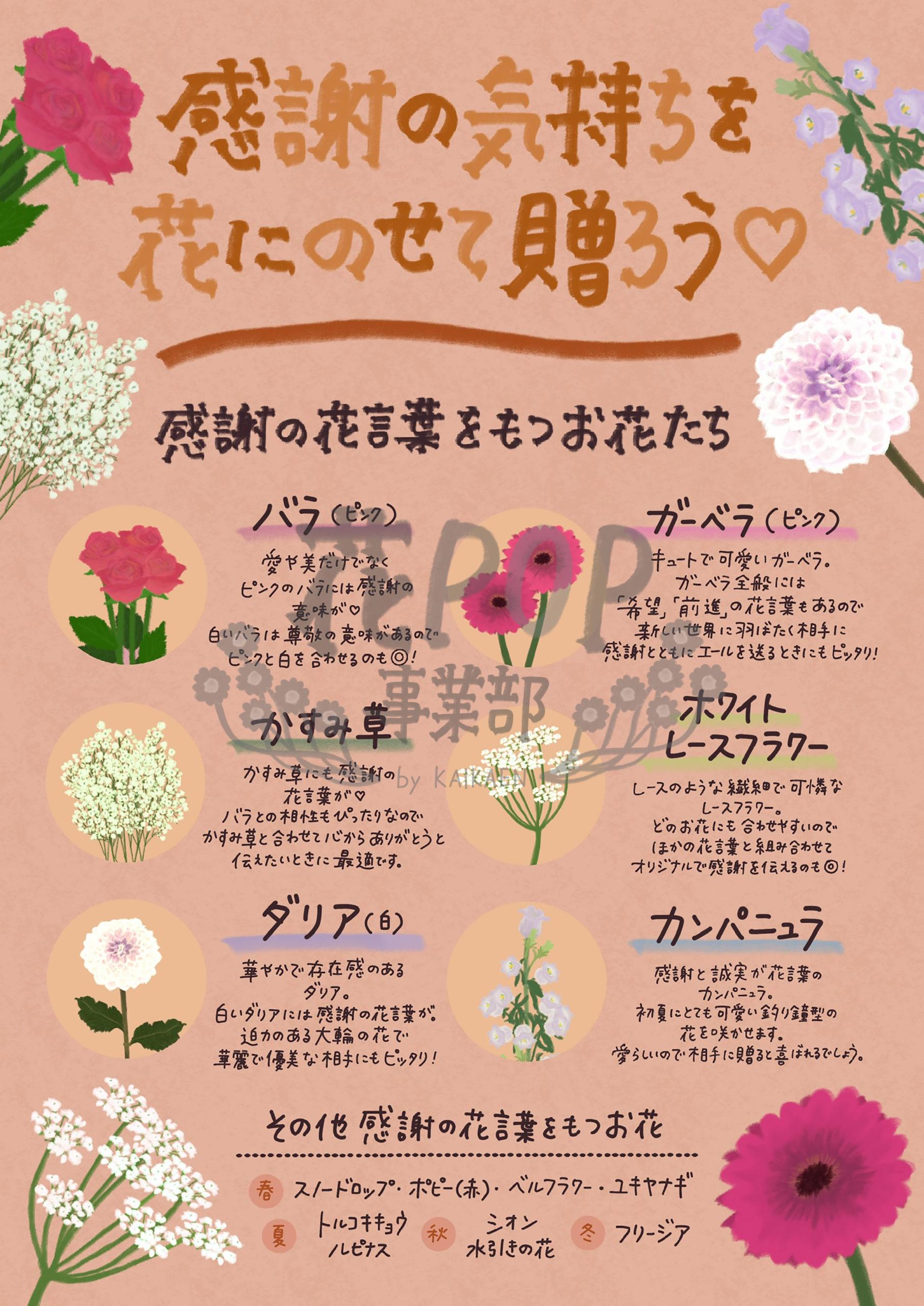 感謝の気持ちを花にのせて贈ろう 花pop事業部 感謝の気持ちを花にのせて贈ろう 花pop事業部