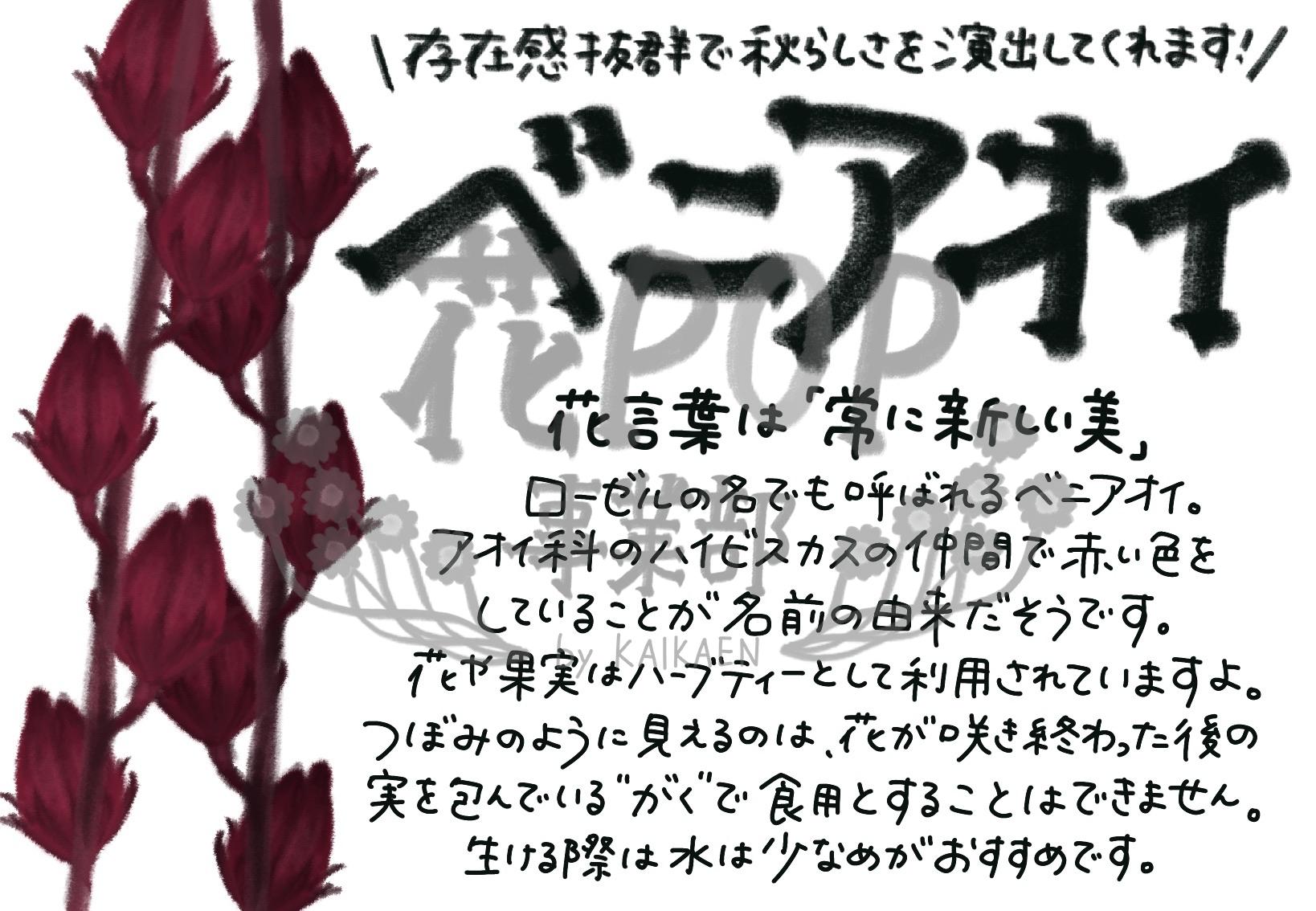 カテゴリー 花pop事業部 カテゴリー 花pop事業部