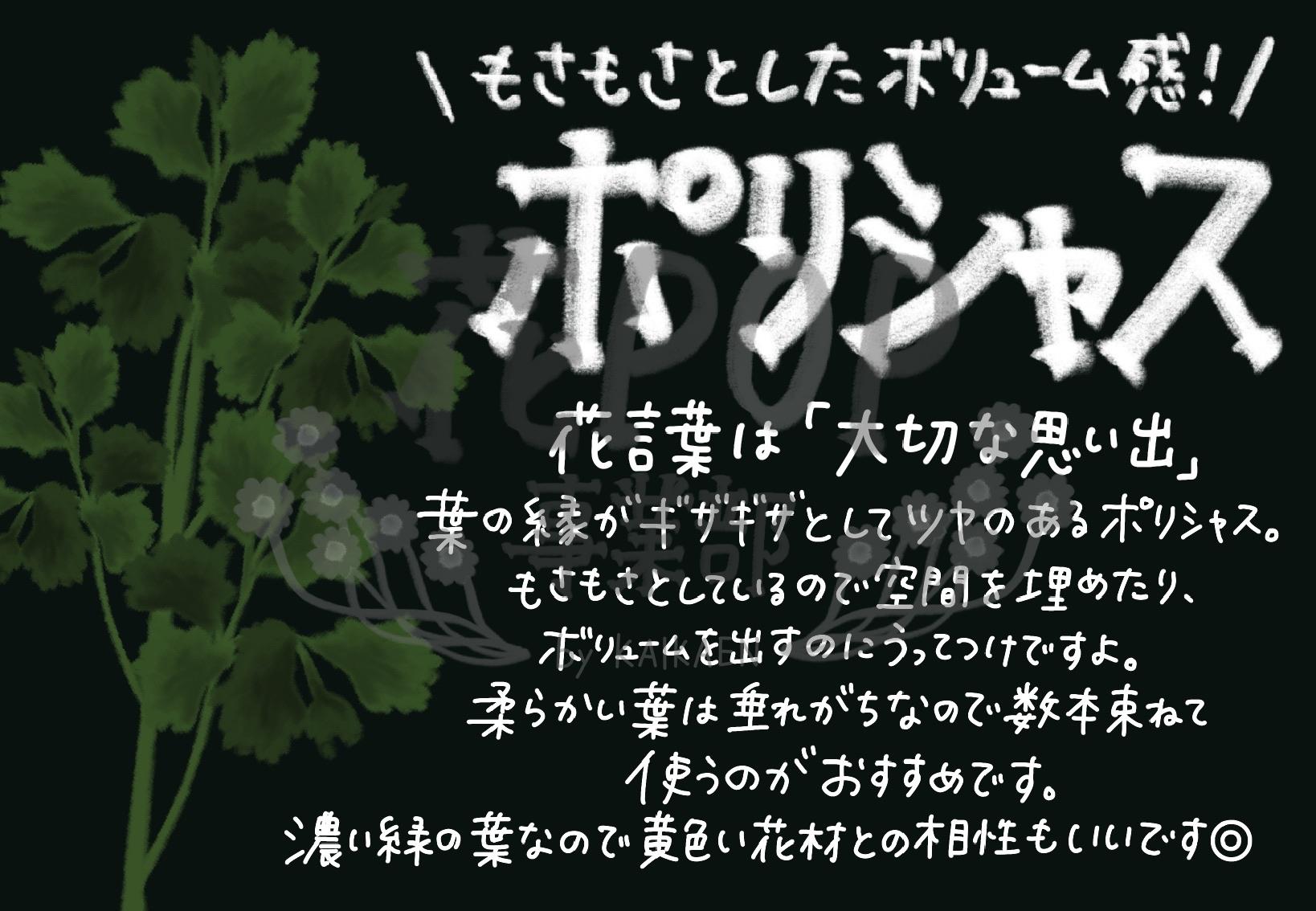 ポリシャス 花pop事業部 ポリシャス 花pop事業部