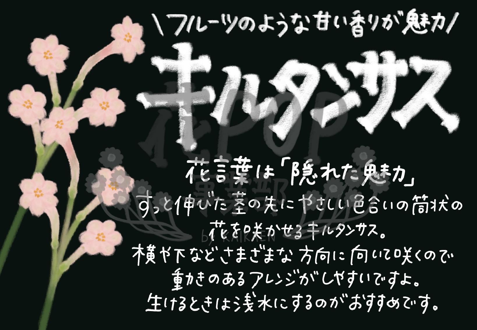 キルタンサス 花pop事業部 キルタンサス 花pop事業部