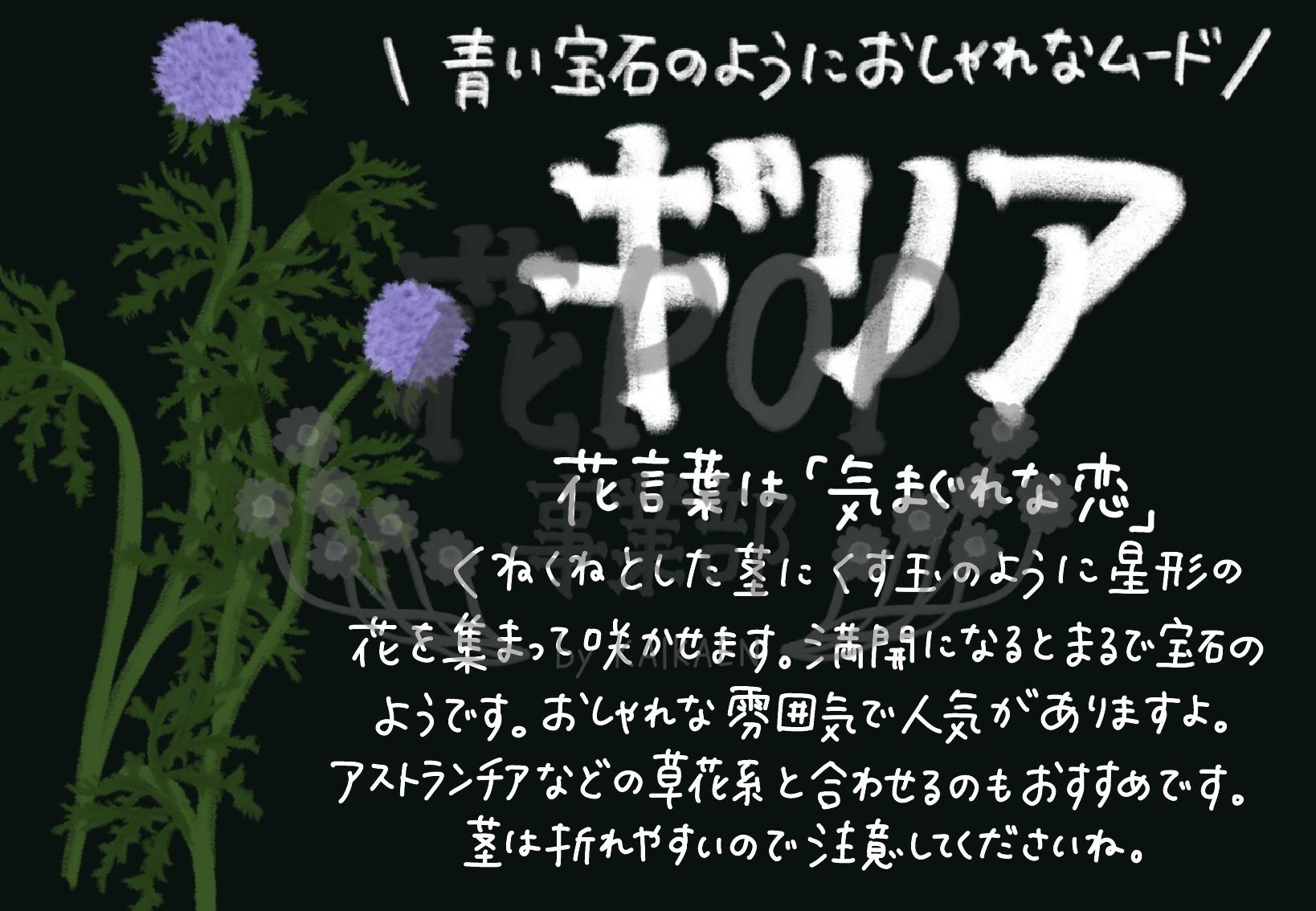ギリア 花pop事業部 ギリア 花pop事業部