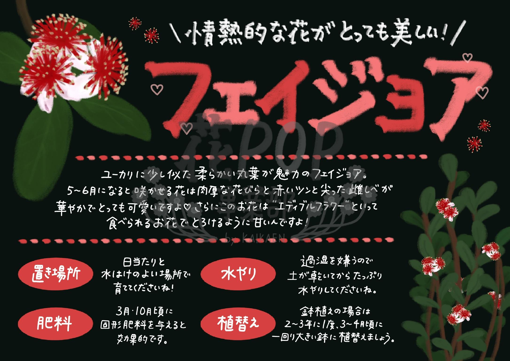 フェイジョア 花pop事業部 フェイジョア 花pop事業部