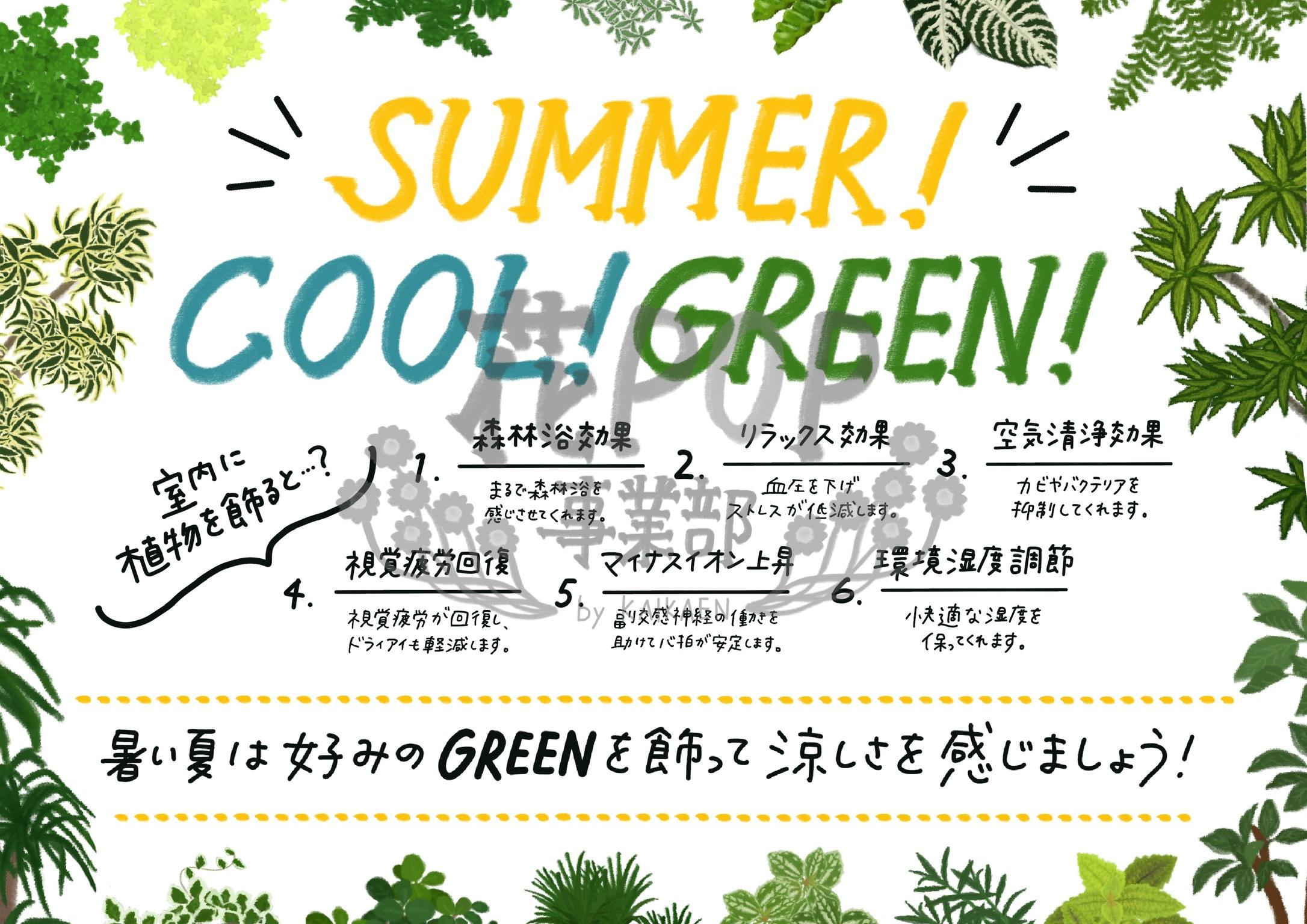 SUMMER! COOL! GREEN!