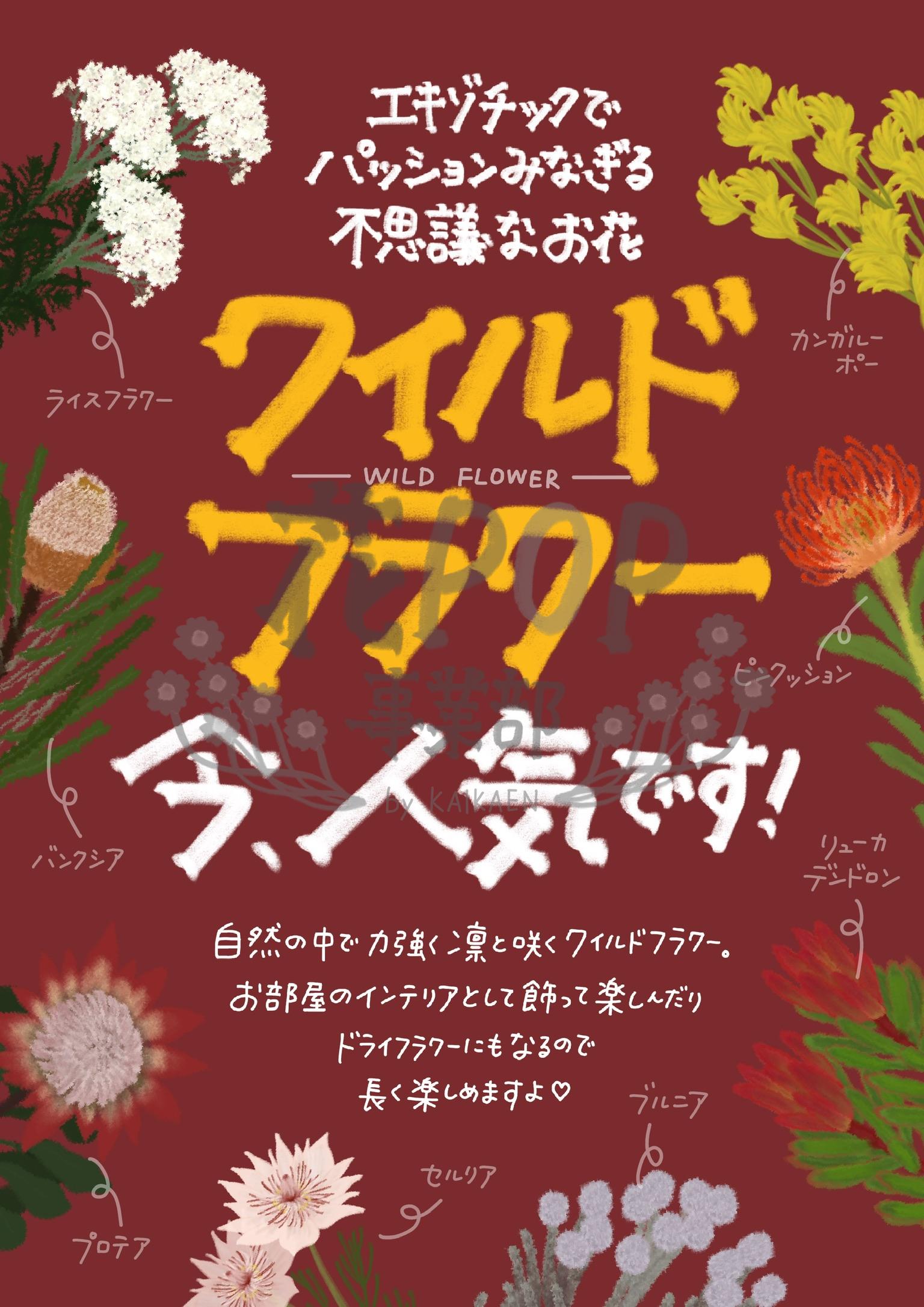 花pop事業部 花pop事業部