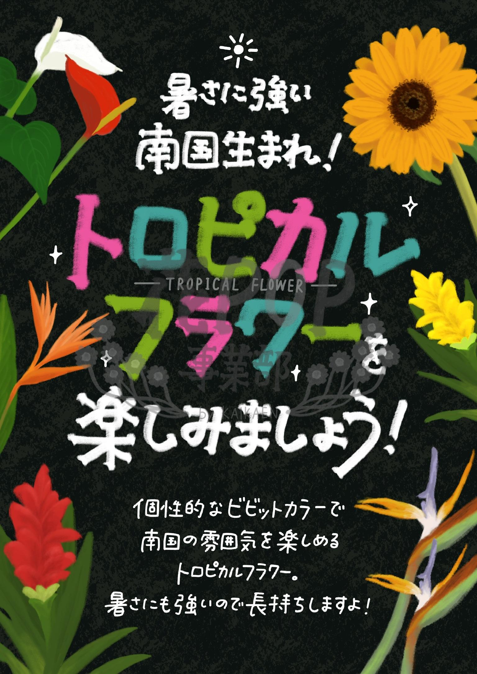 トロピカルフラワーを楽しみましょう 花pop事業部 トロピカルフラワーを楽しみましょう 花pop事業部
