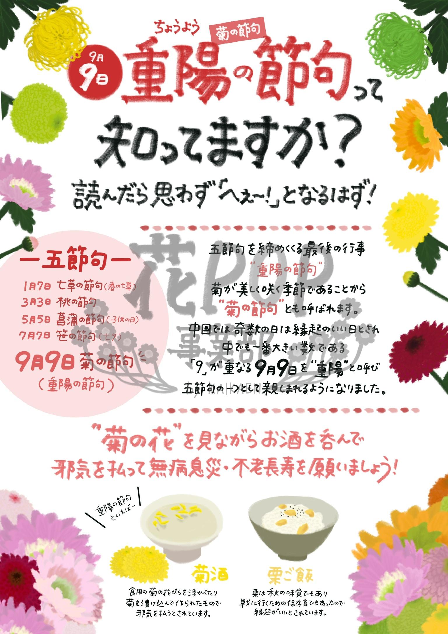 花pop事業部 花pop事業部