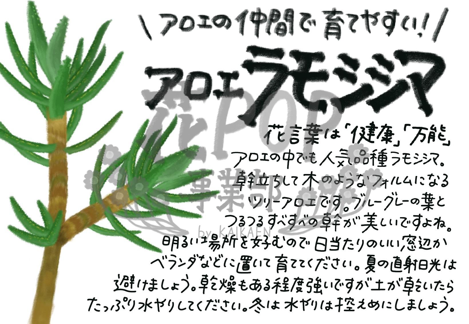 Svc6 Hrkmcajym Svc6 Hrkmcajym