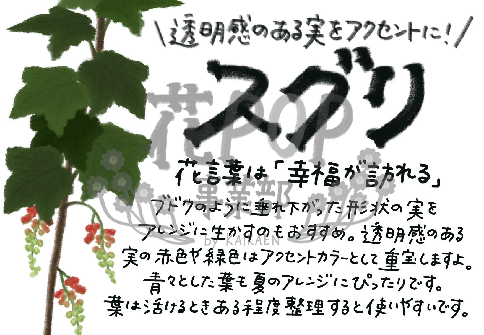 スグリ