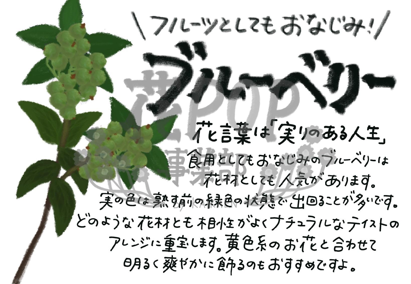 ブルーベリー