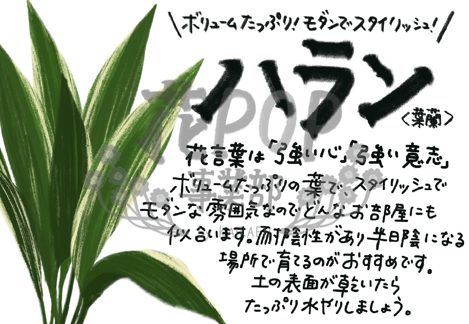 ハラン