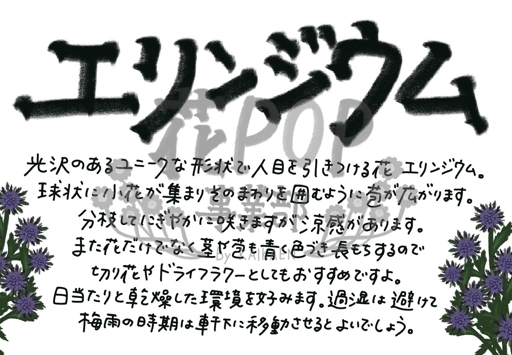 エリンジウム