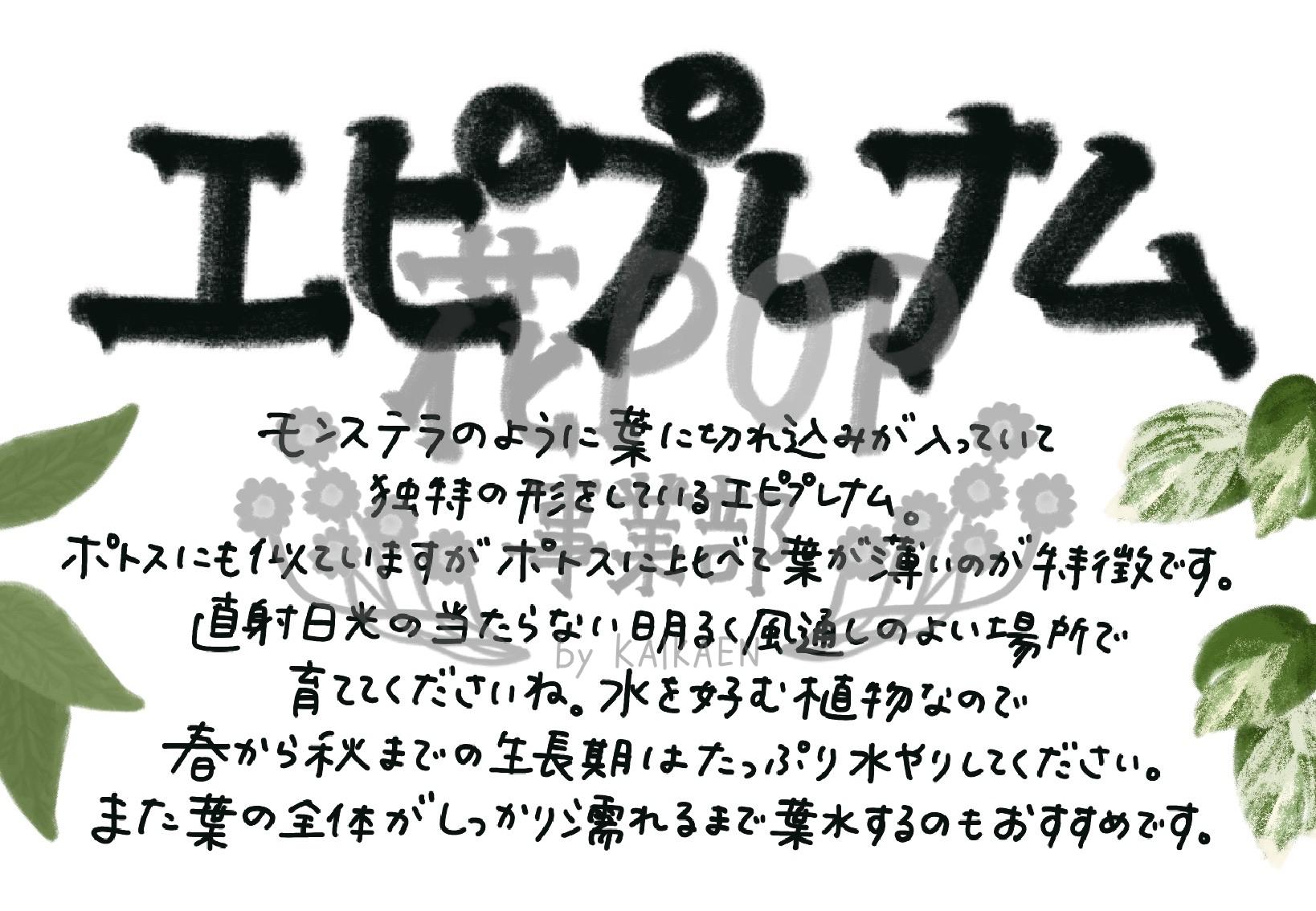 エピプレナム