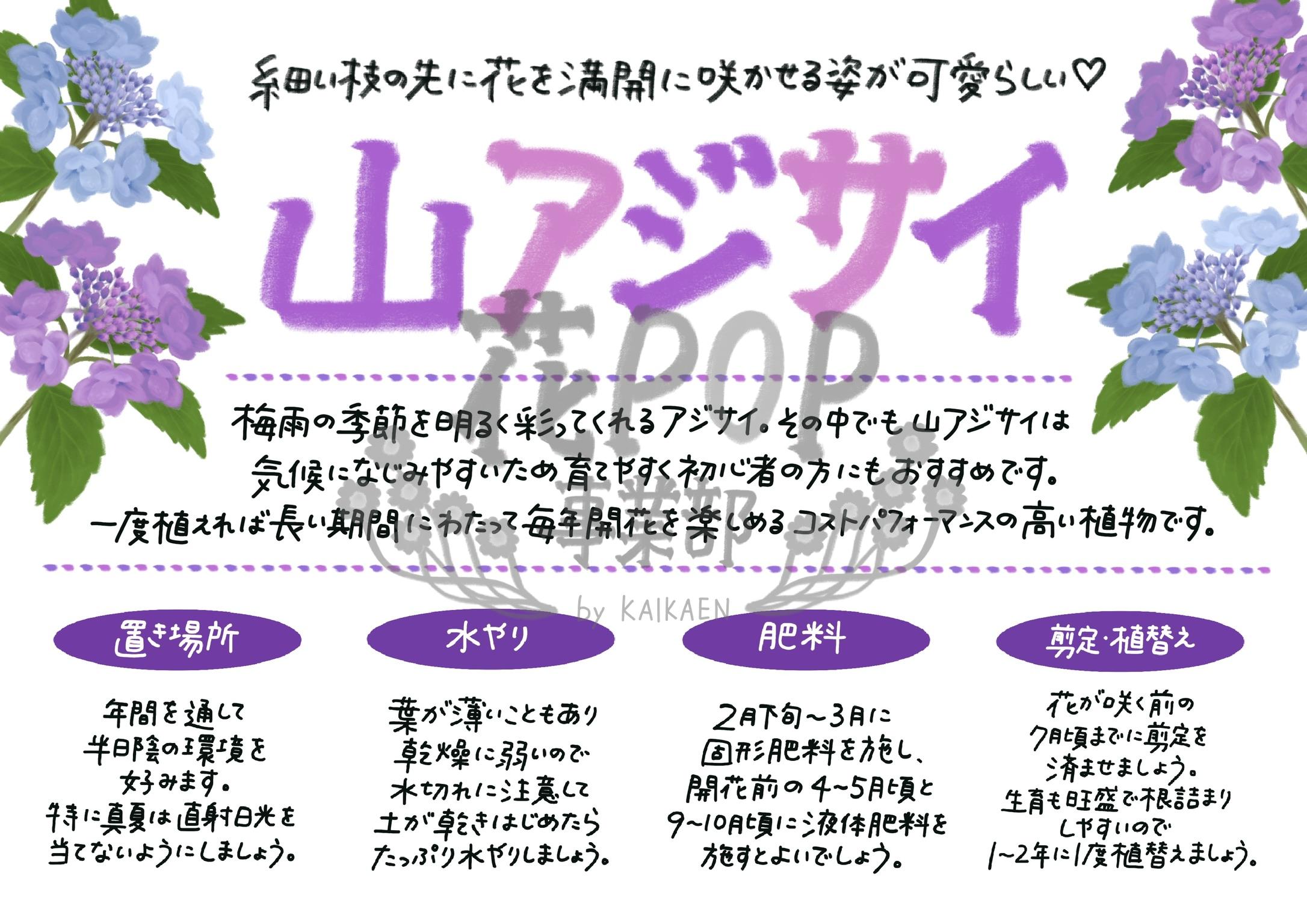 花pop事業部 花pop事業部