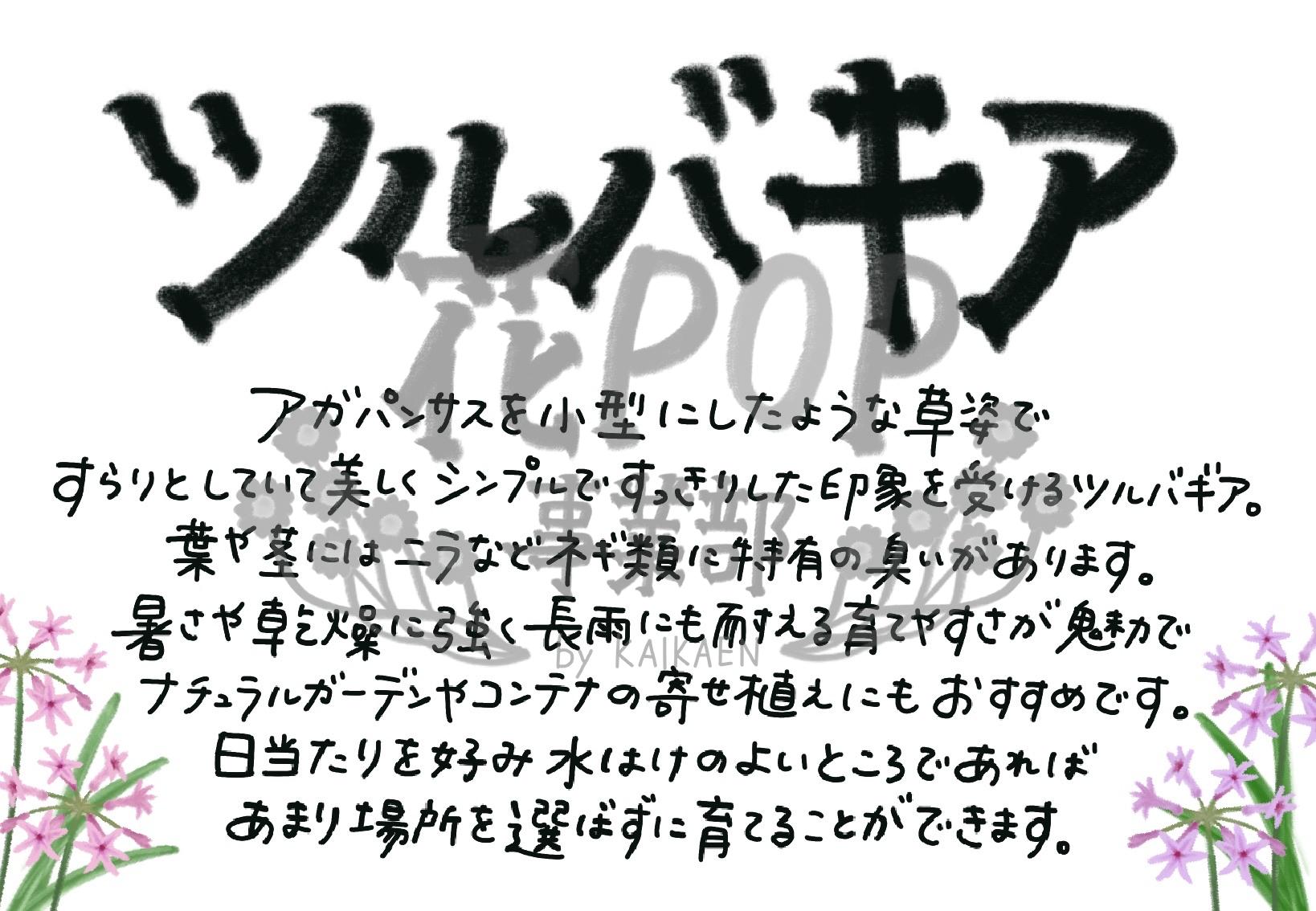 ツルバキア