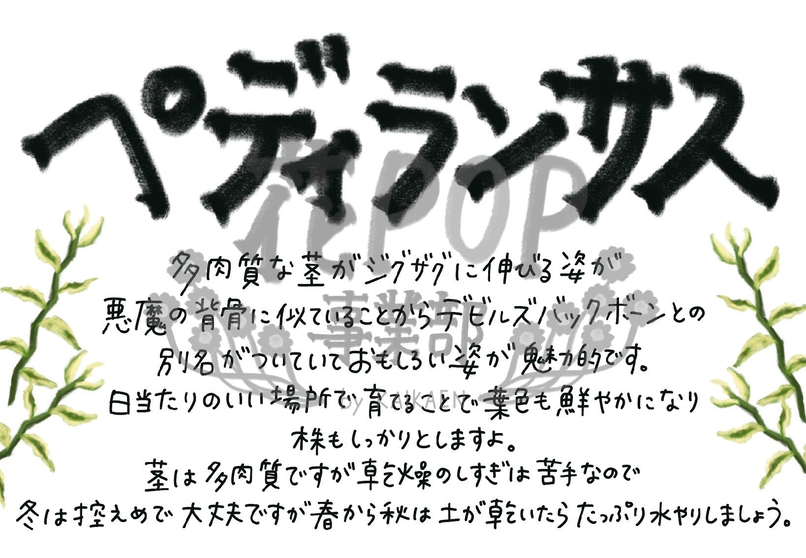 ペディランサス