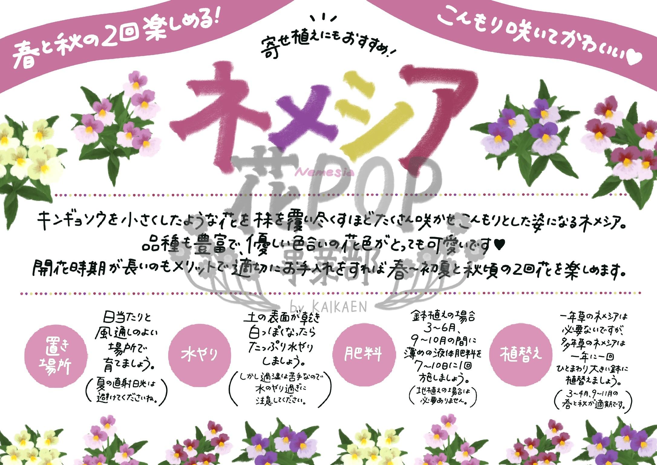 ネメシア
