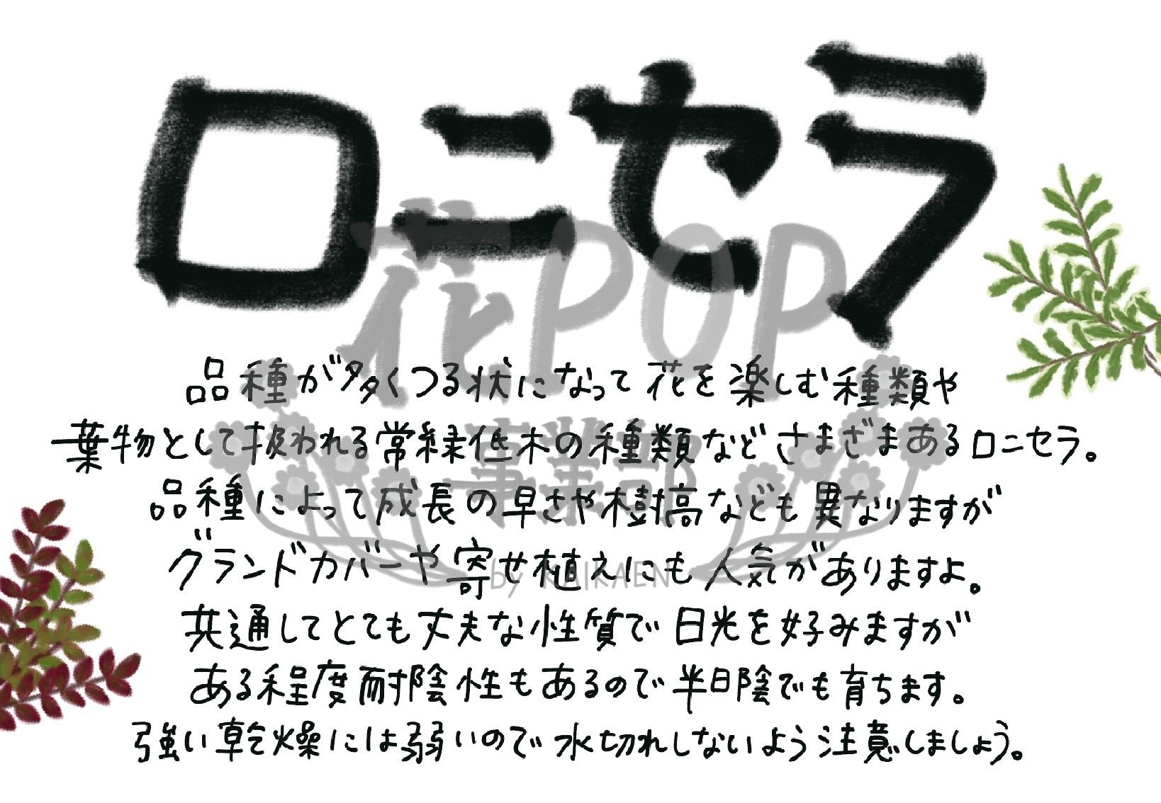 ロニセラ
