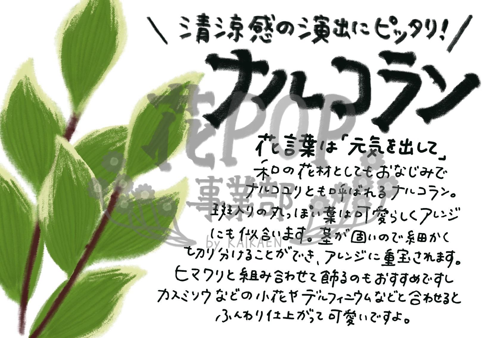 ナルコラン