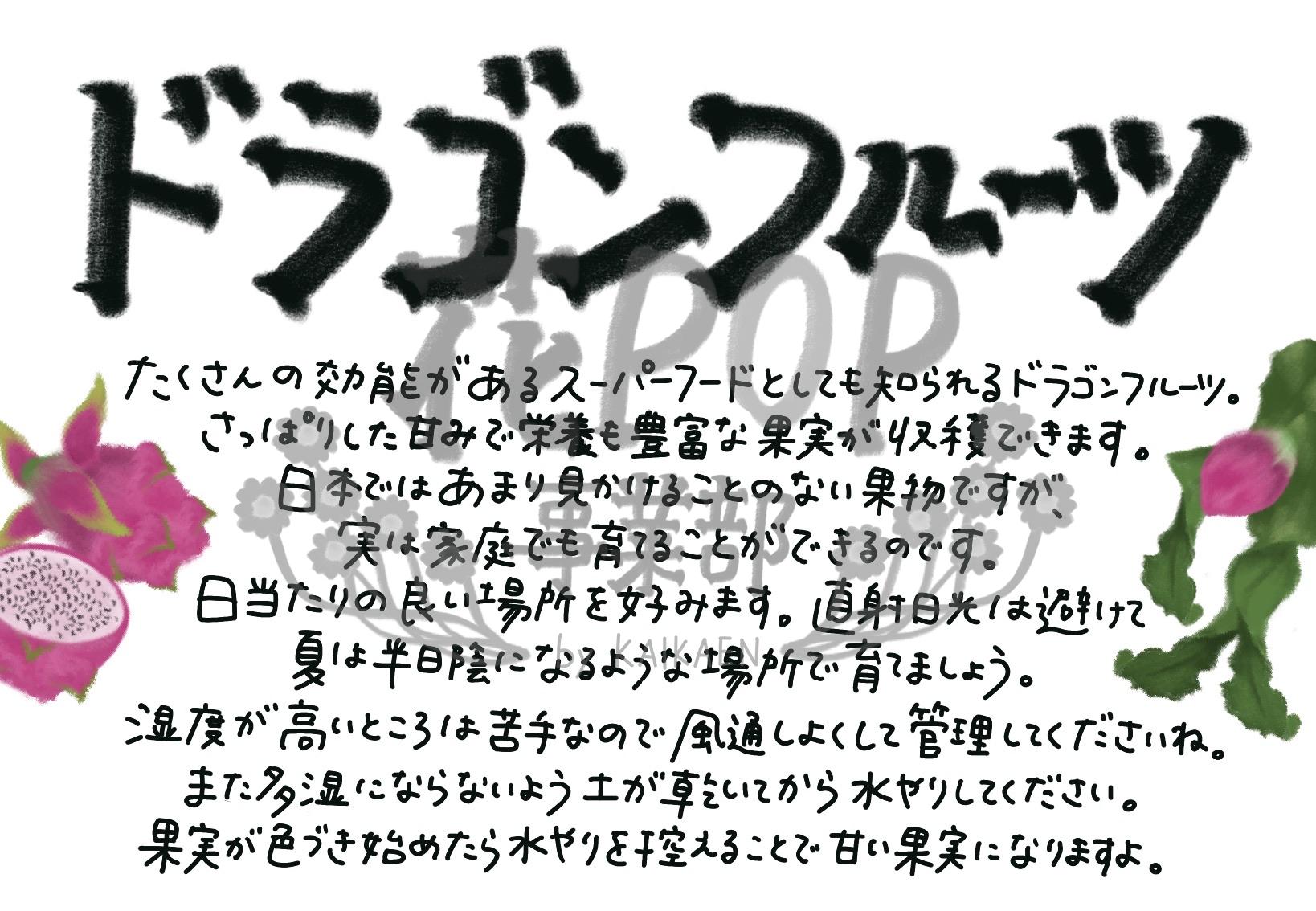 ドラゴンフルーツ