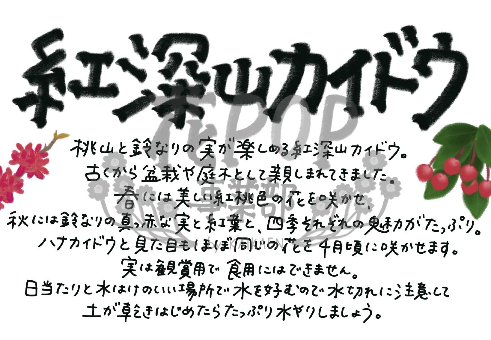 紅深山カイドウ