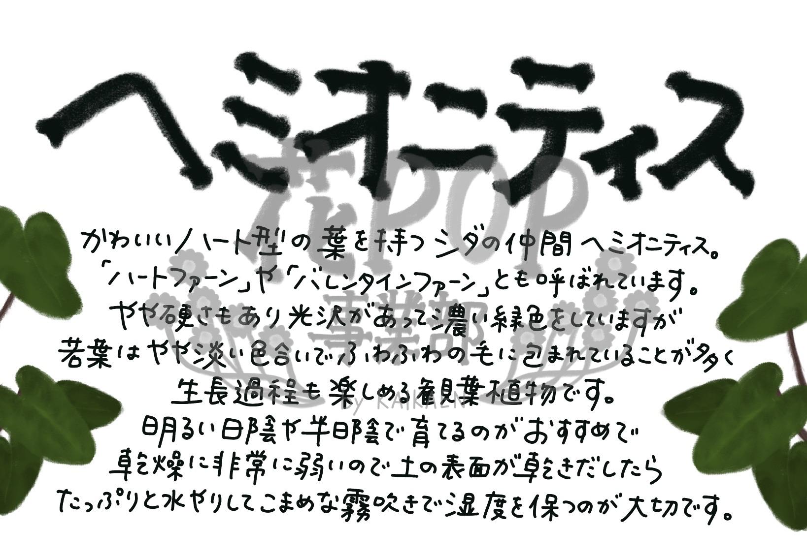 ヘミオニティス